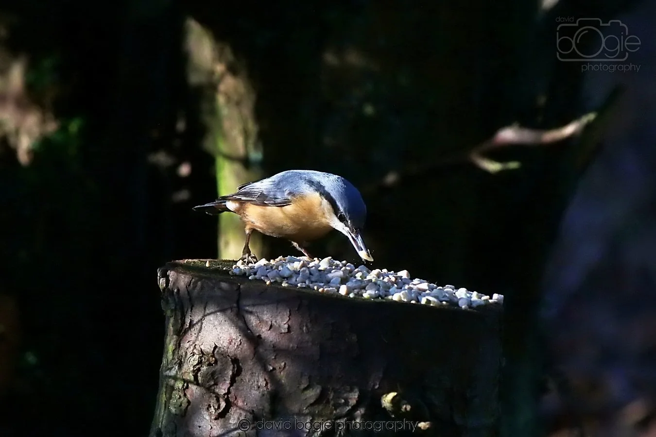 20260128 130002 Dunnikier 0111.jpg