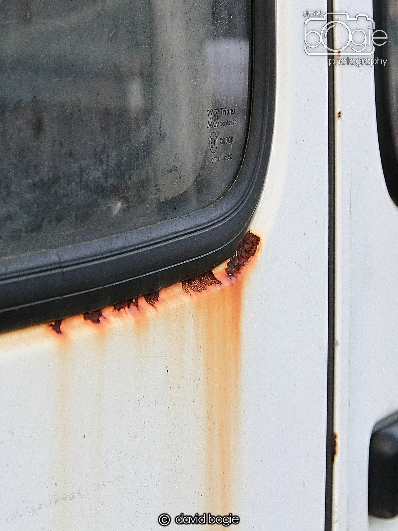 20250129 131049 Reekies 0126 1.JPG