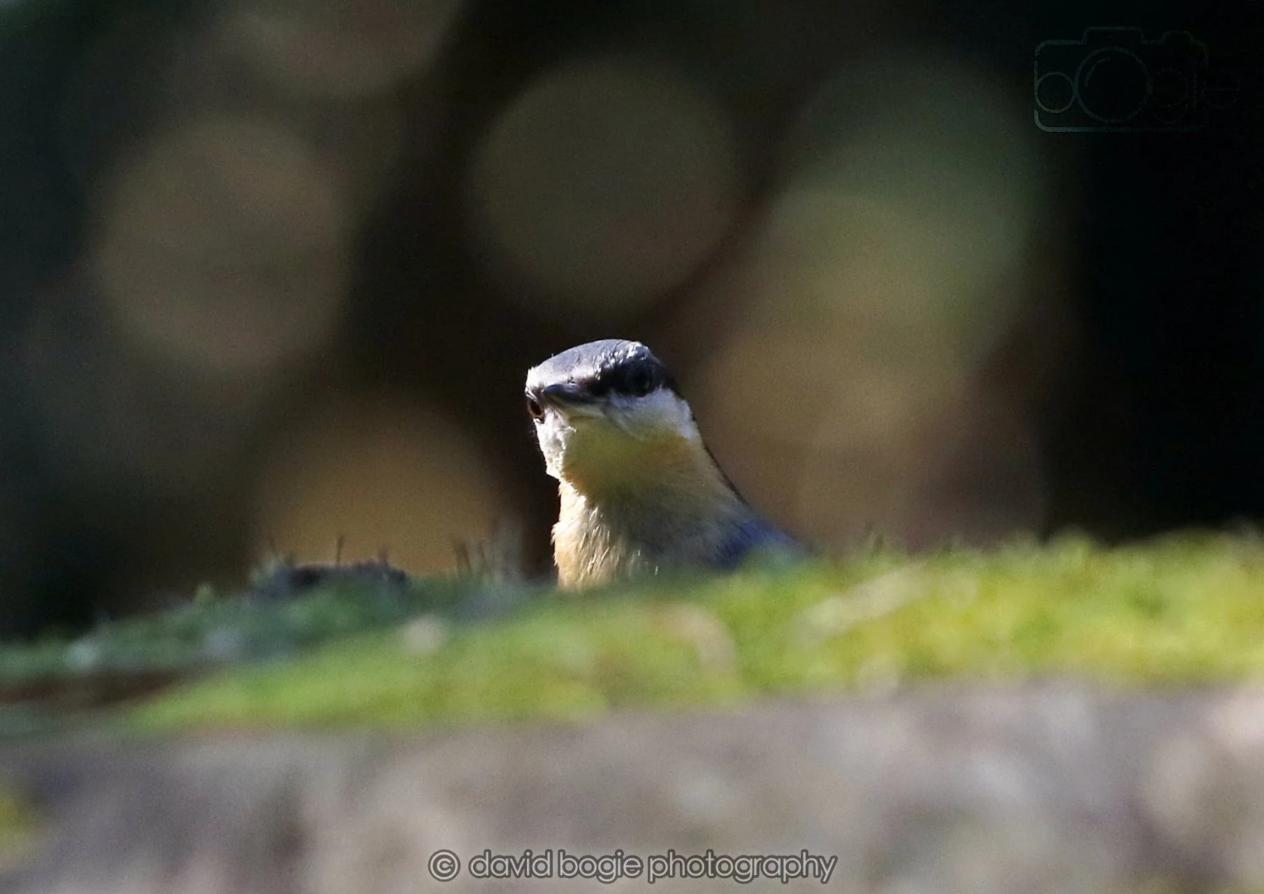 20260320 142055 Ravenscraig 0221.jpg