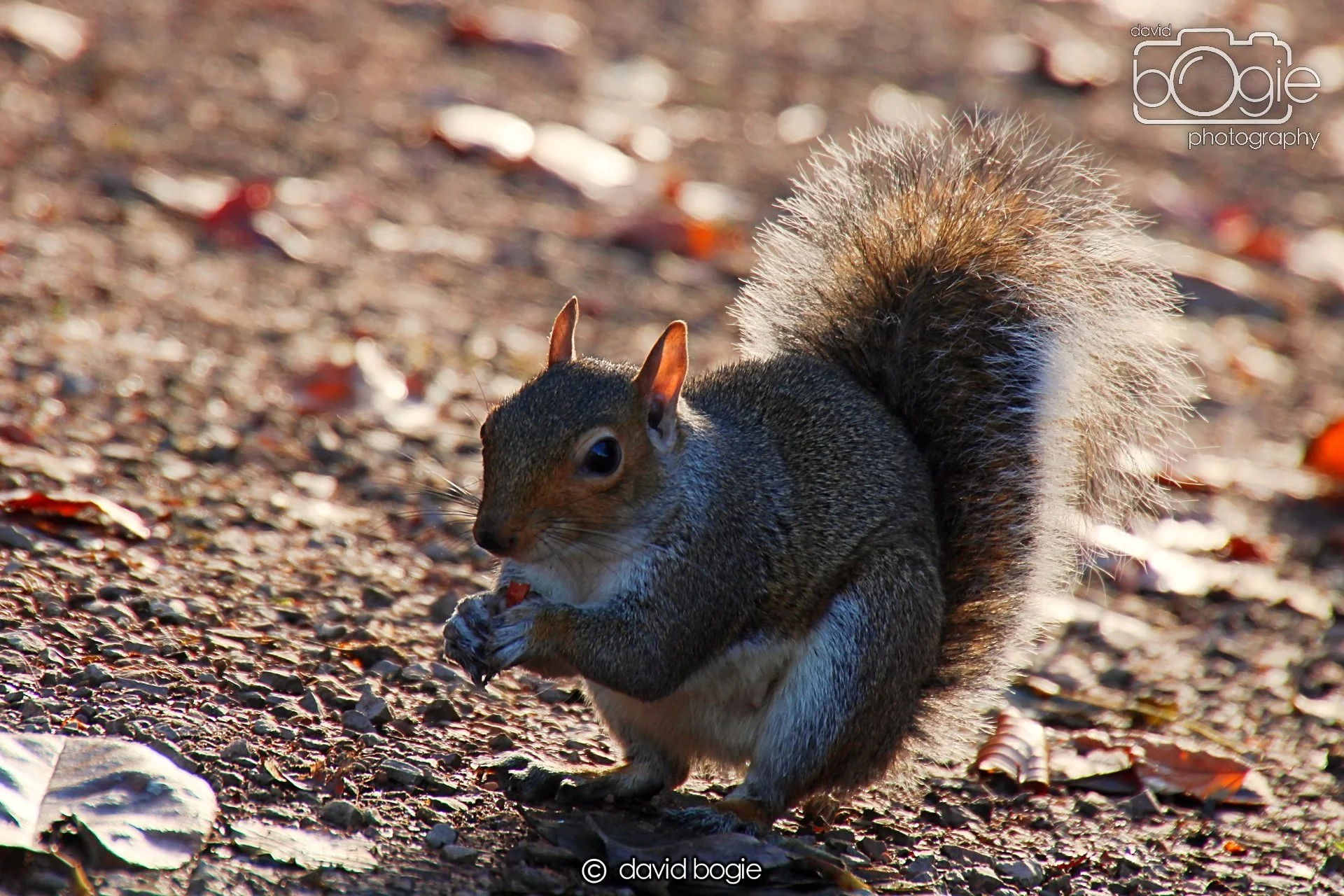 20231107 Beveridge Park 0292.jpg