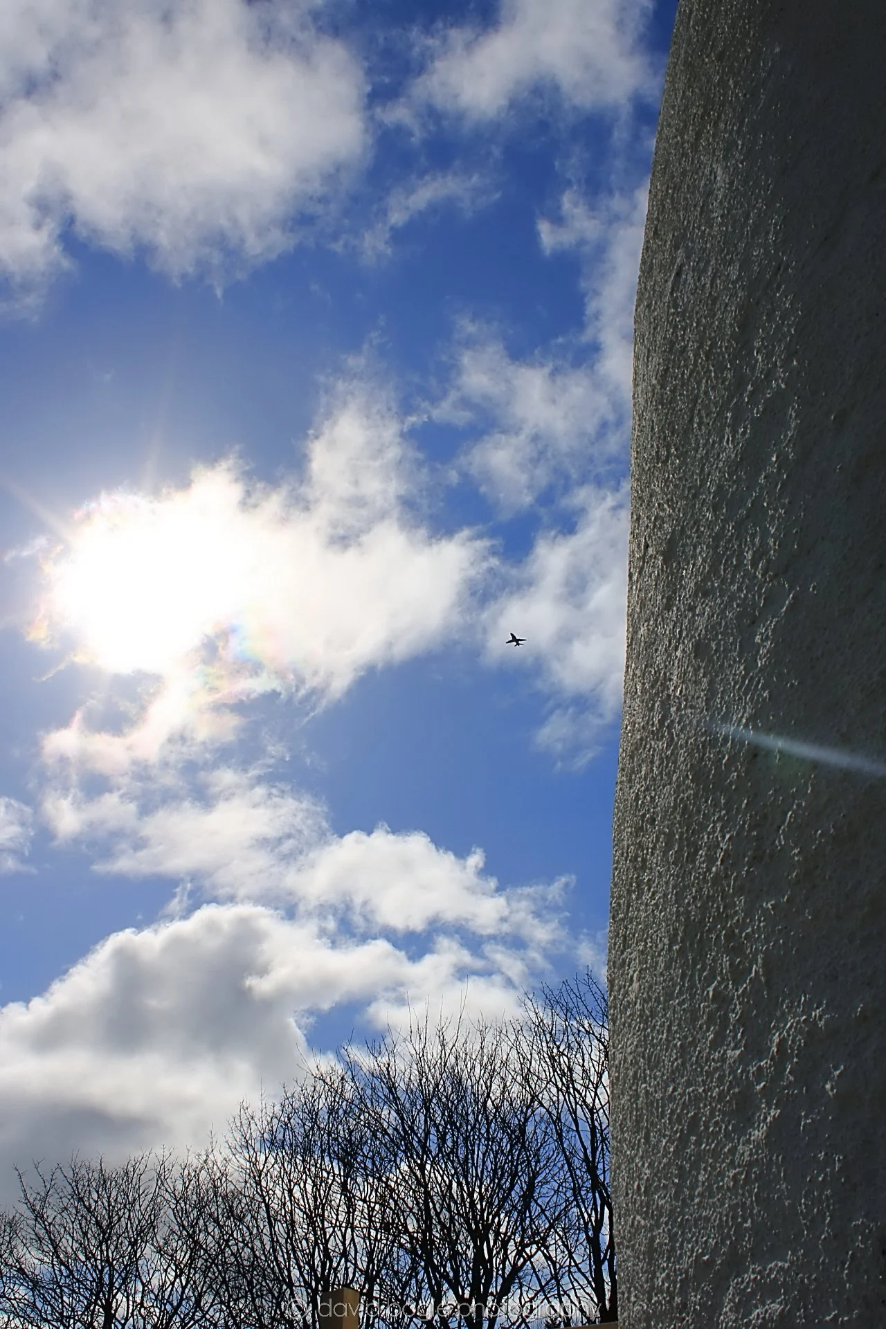 20190326 120750 Crail 0009.jpg