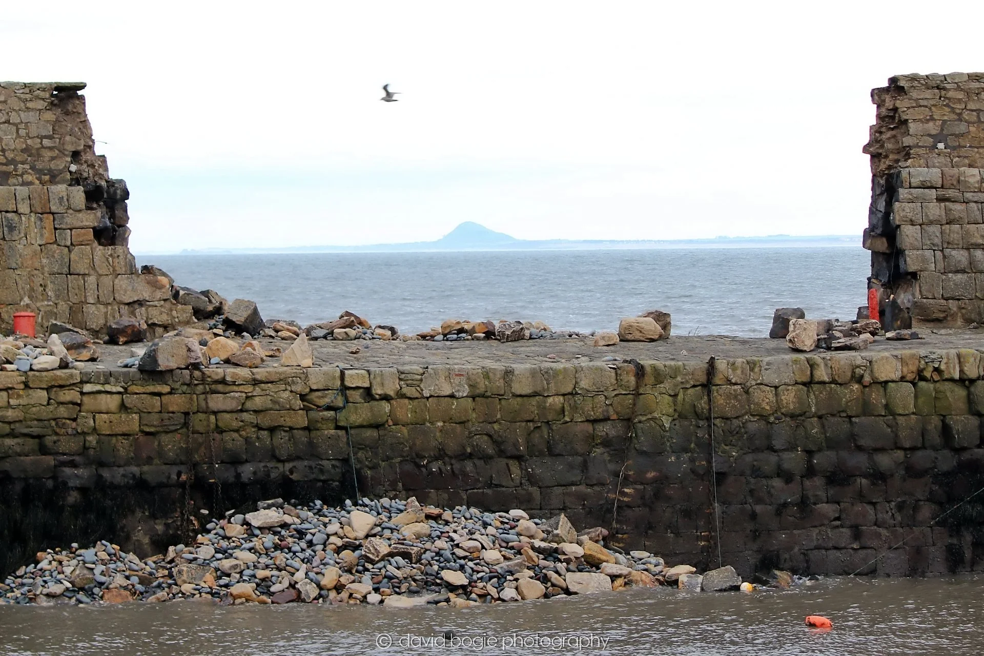YEAR20260208 142858 Kirkcaldy 0038.jpg