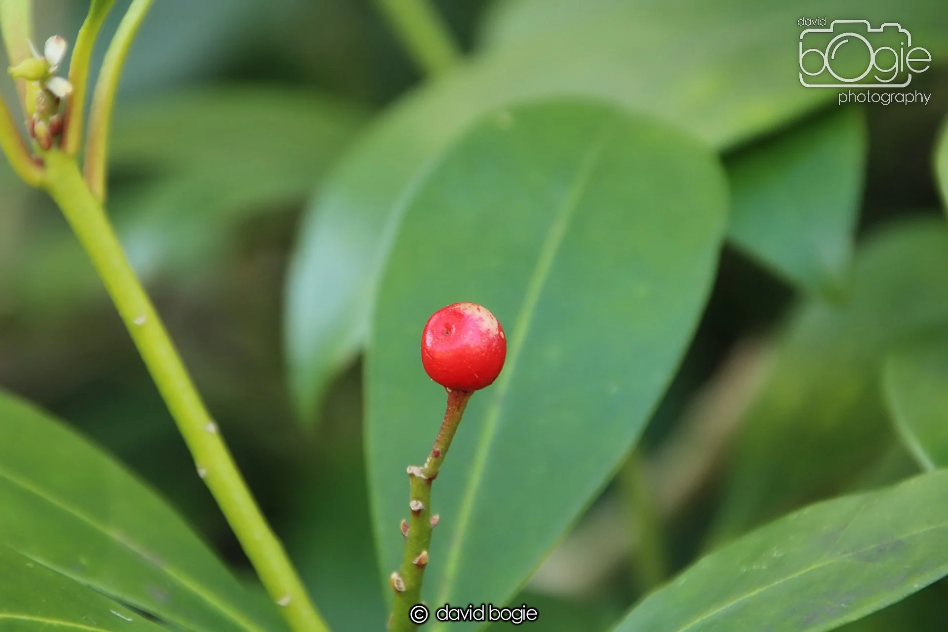 20240423 104228 Beveridge 0007.JPG