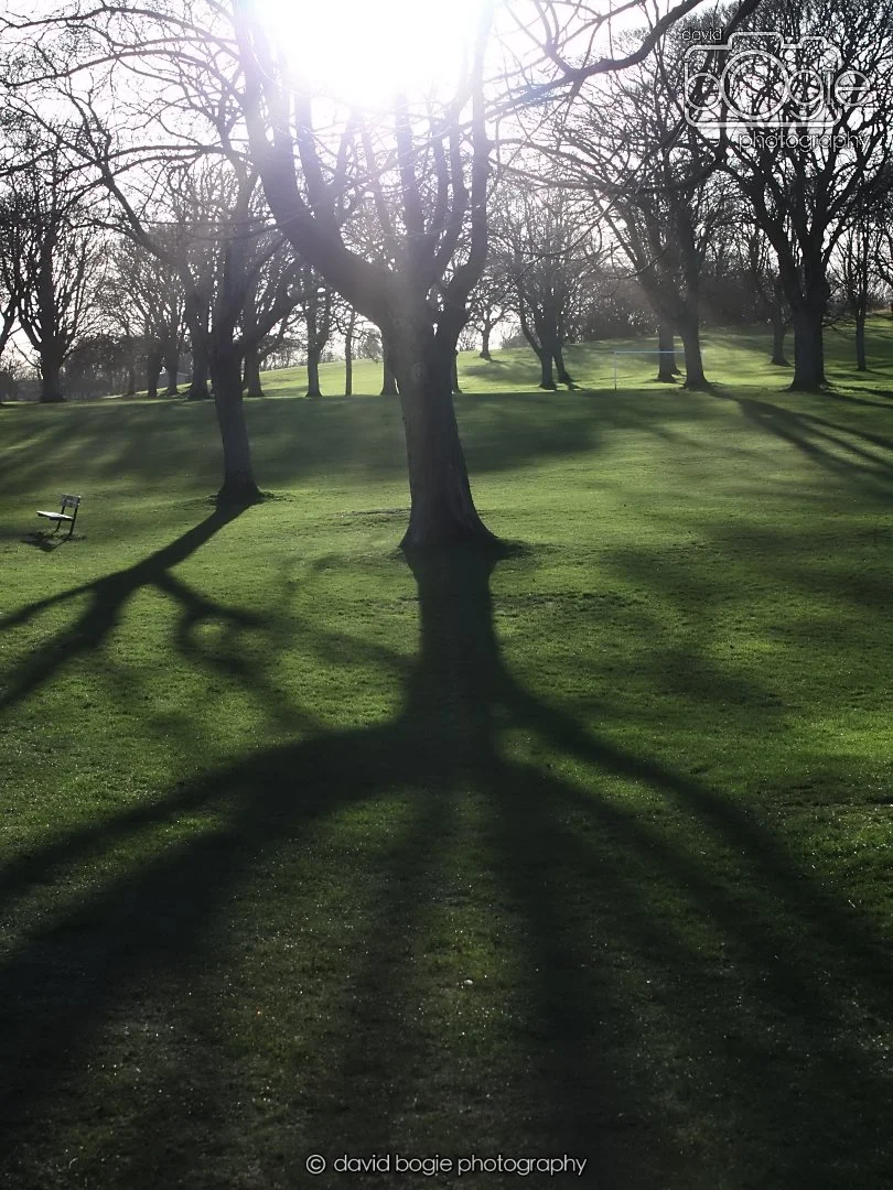 20260103 111324 Beveridge Park 0006.JPG