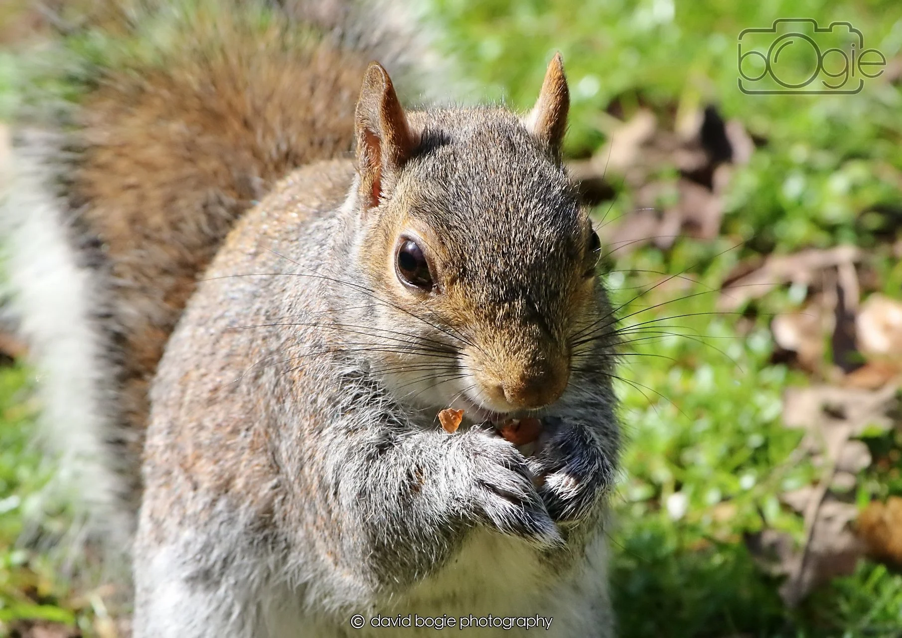 20260402 123619 Ravenscraig 0440.jpg