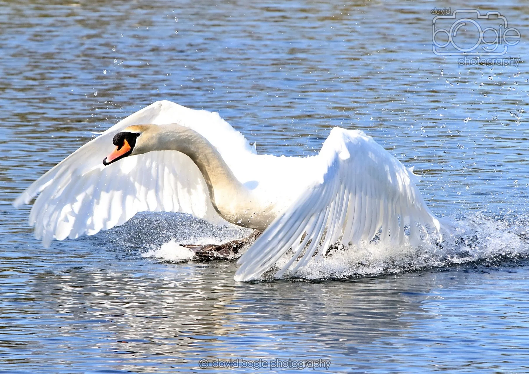 20260319 113607 Beveridge Park 0173.jpg