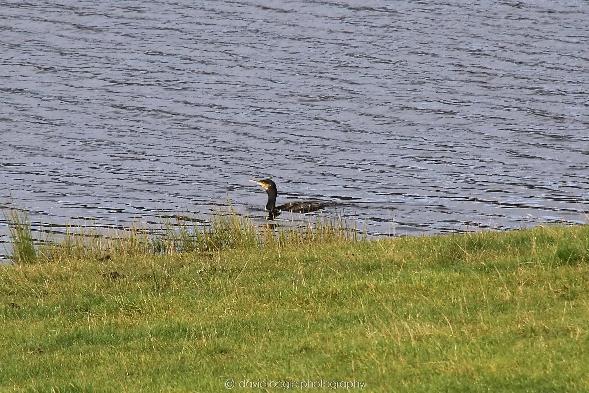 YEAR20231023 Lochore Meadows 120826 0293.jpg