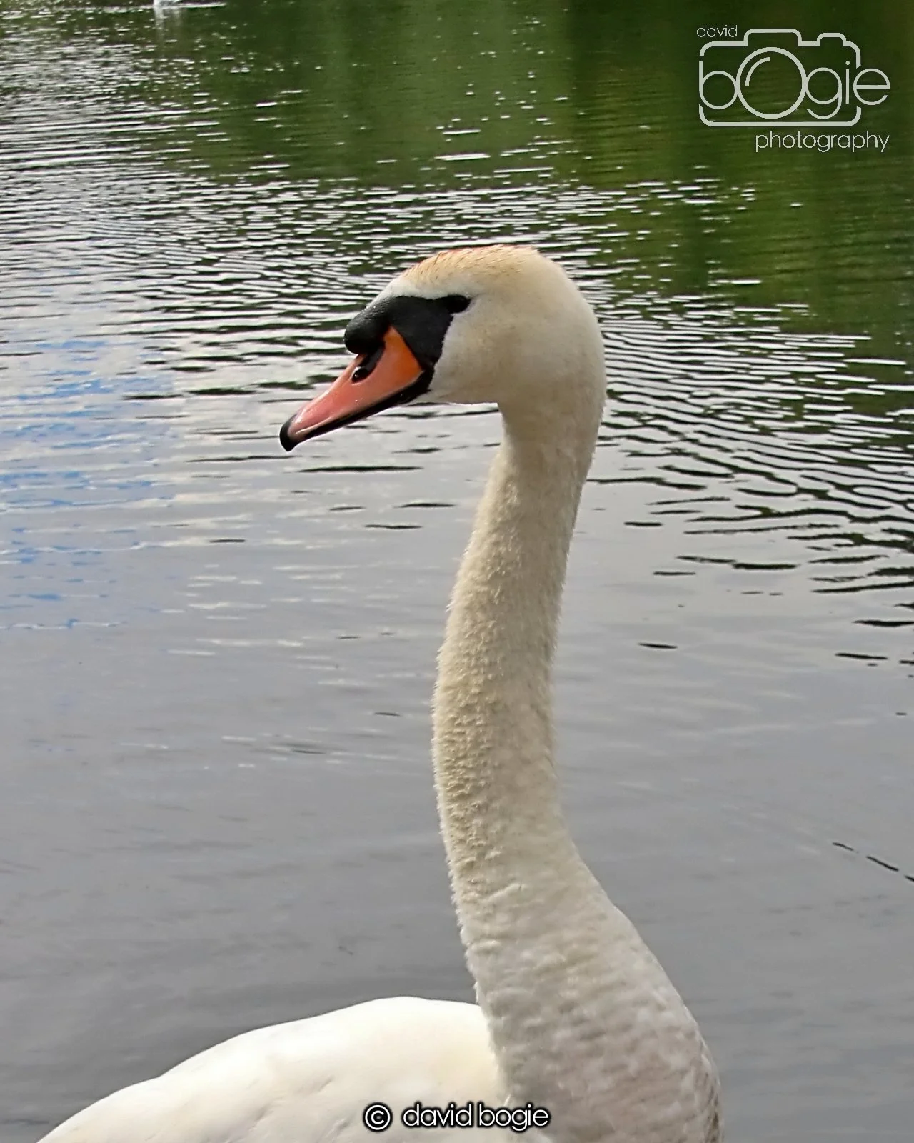 20250721 124537 Beveridge Park 0275.JPG