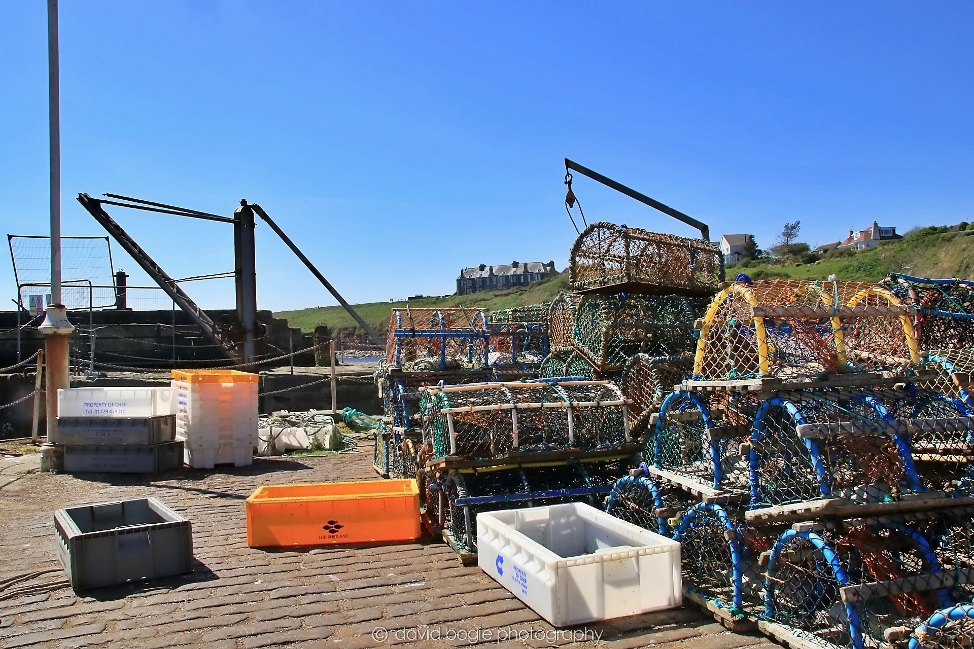 YEAR20250509 115456 Crail 0179.jpg