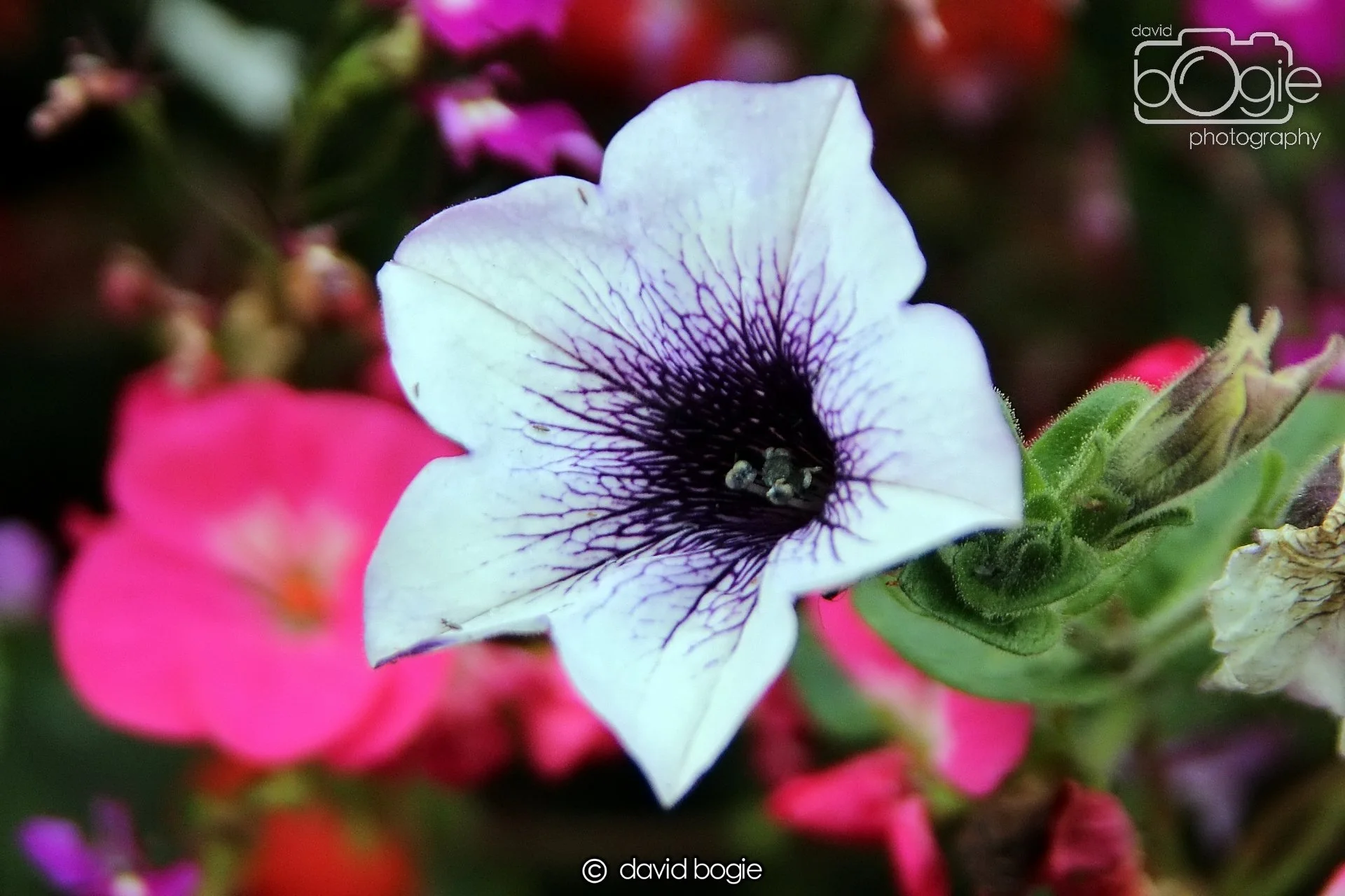 20211205 202612 Kinglassie 0005.JPG