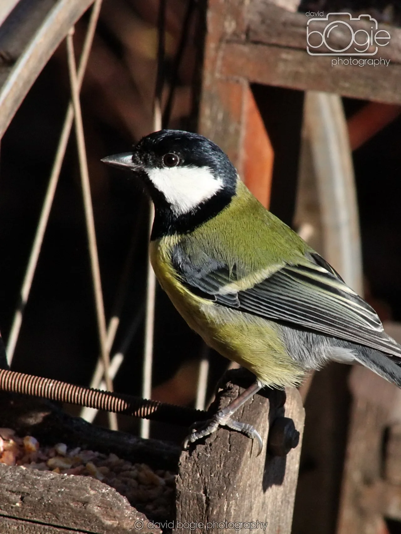 20251125 135028 Silverburn 0190.JPG