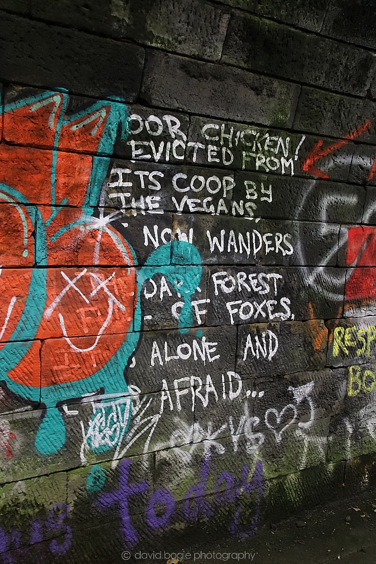 YEAR20221109 Edinburgh 58 .jpg