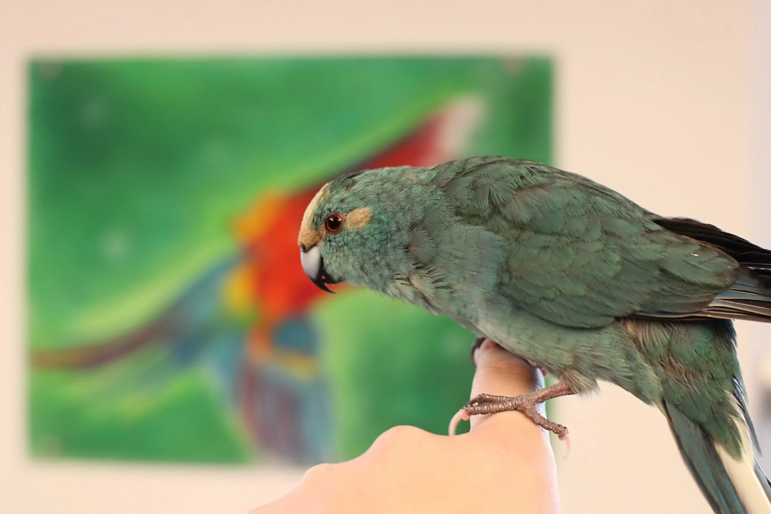 20251206 122626 K&S 0017.JPG