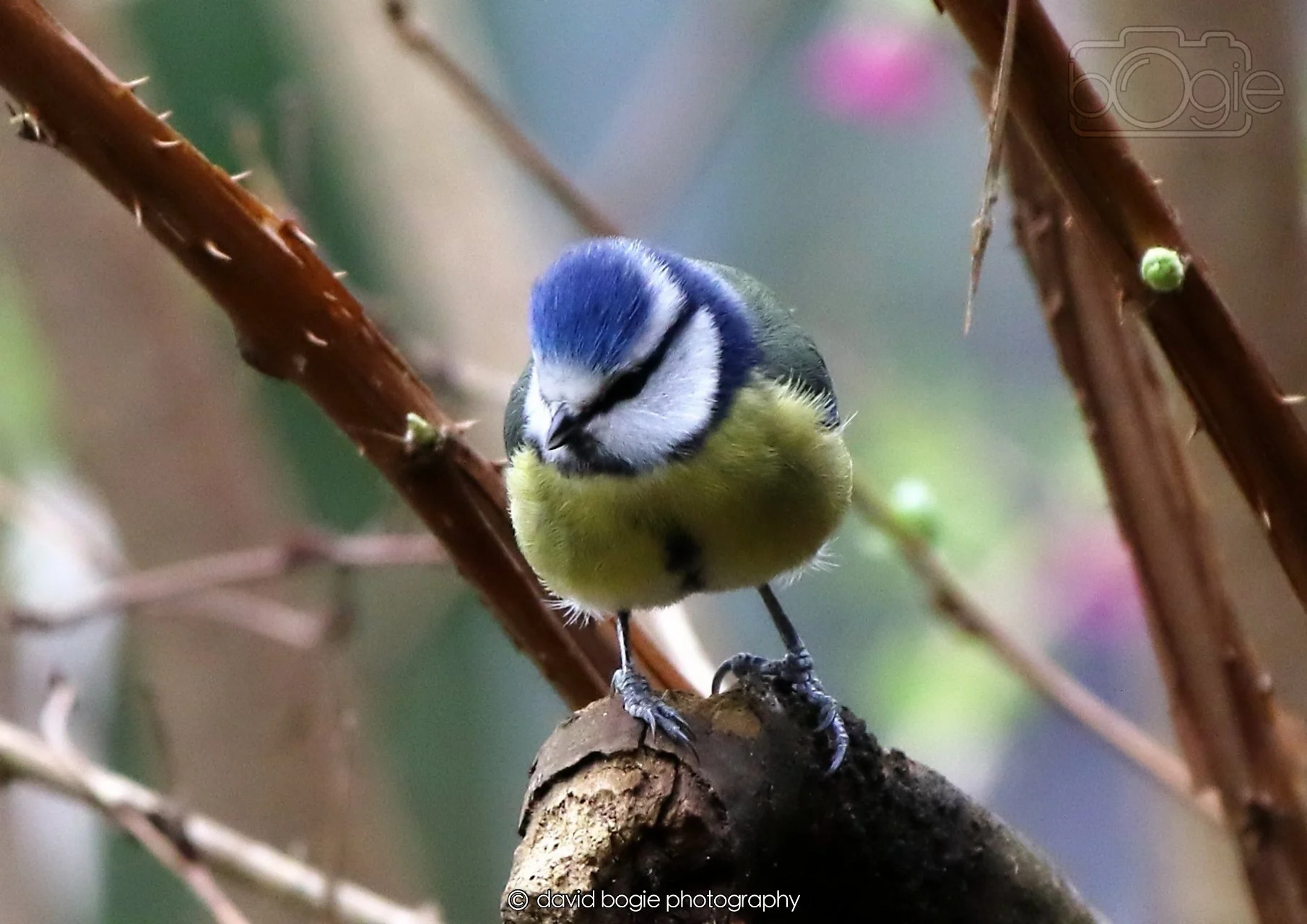 20260326 113338 Silverburn 0205.jpg