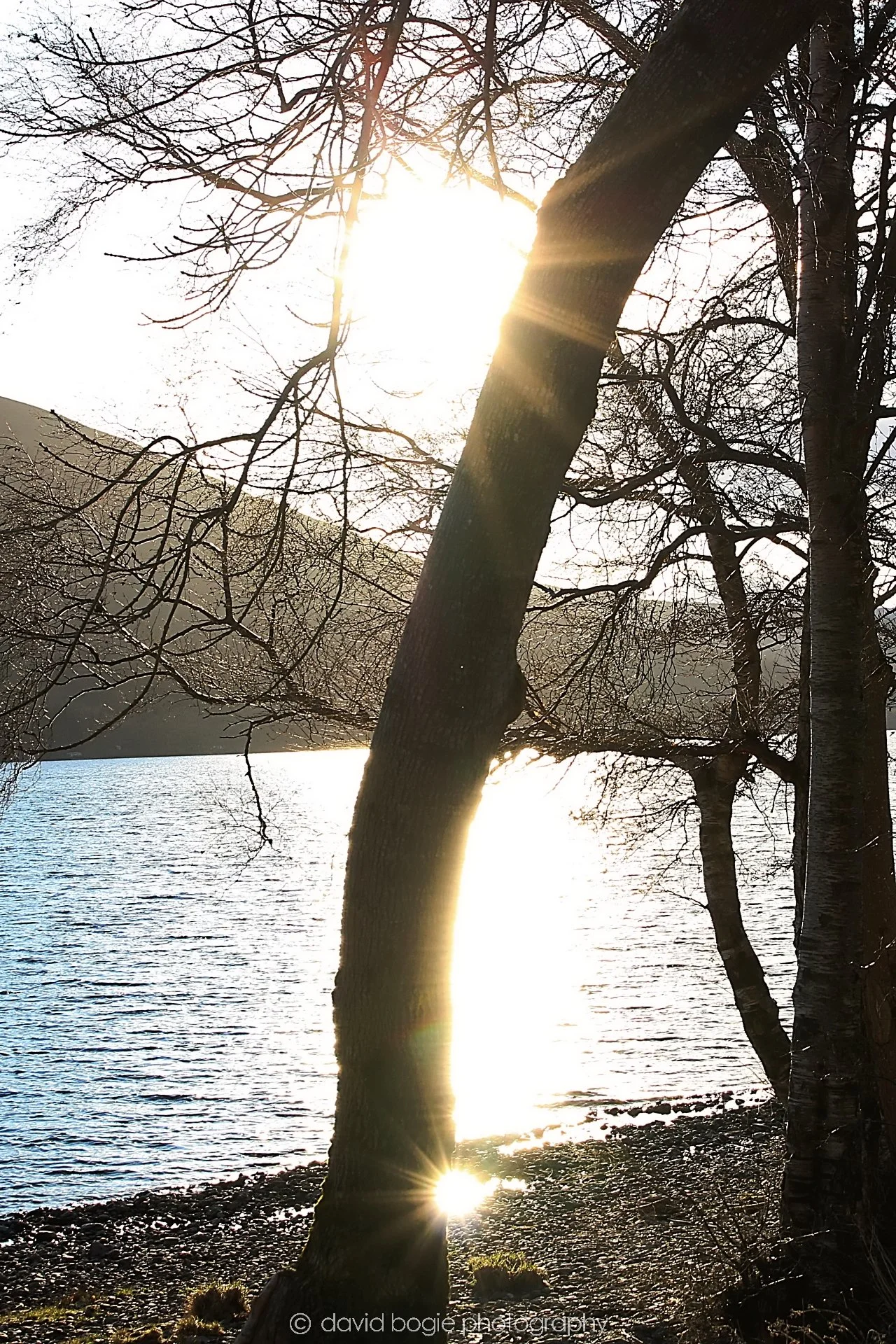 YEAR20230222 161844 Loch Lomond 0020.jpg