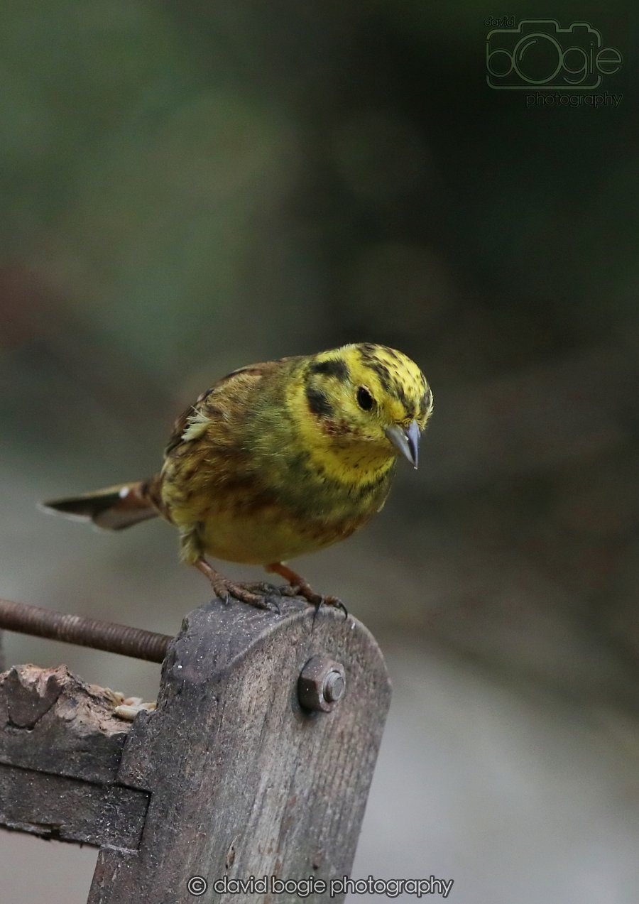 20260215 132454 Silverburn 0165.jpg