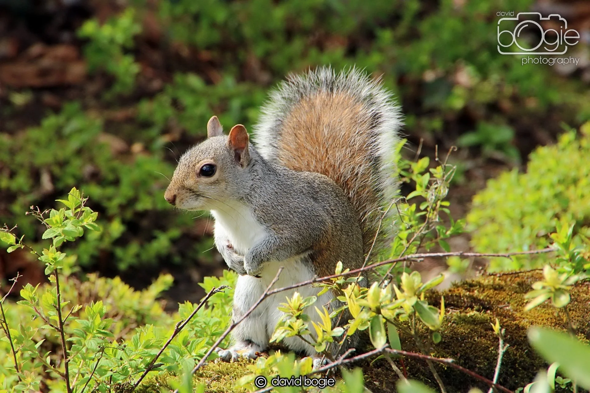 20240423 112727 Beveridge 0031.JPG