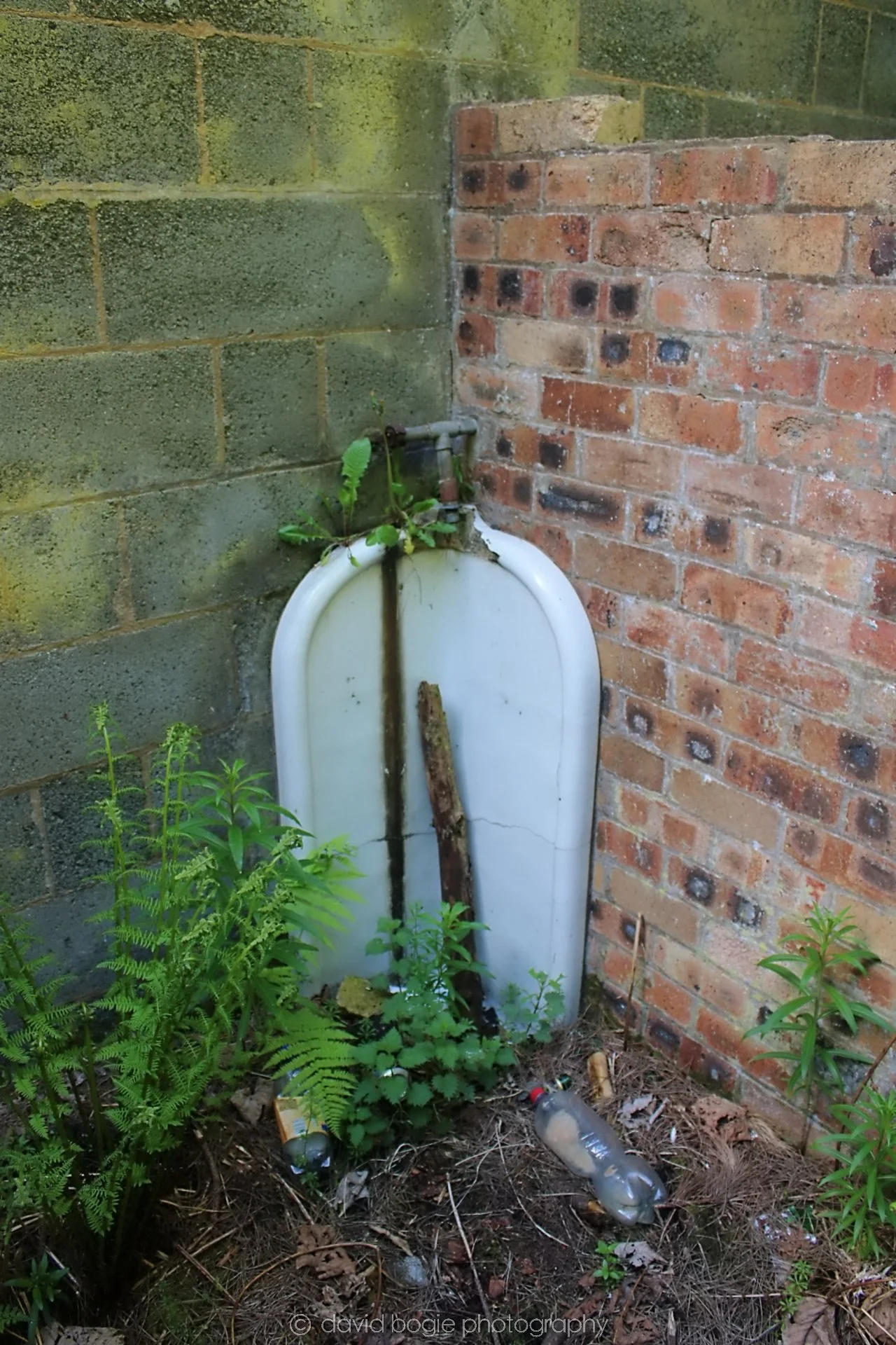 20190521 133611 Braefoot & Charles Hill 0047.jpg