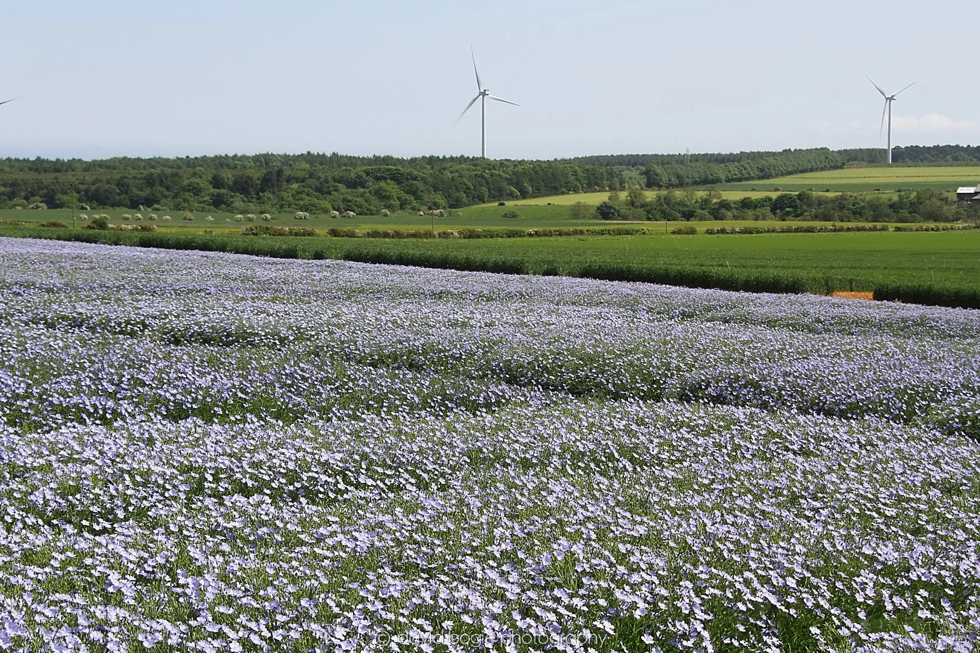 YEAR20230604 Balgonie 00003.jpg