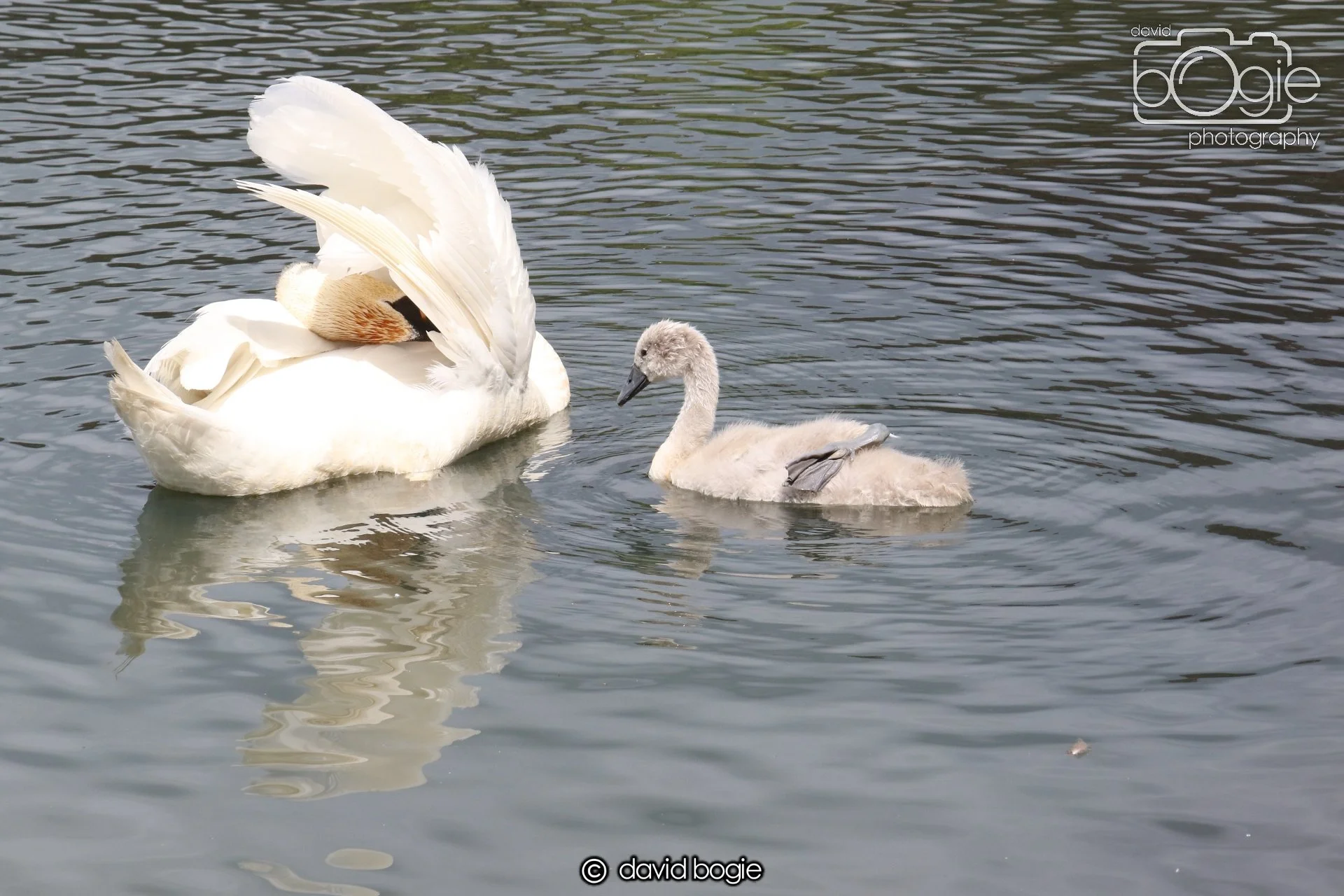 20250613 114236 Beveridge 0017.JPG