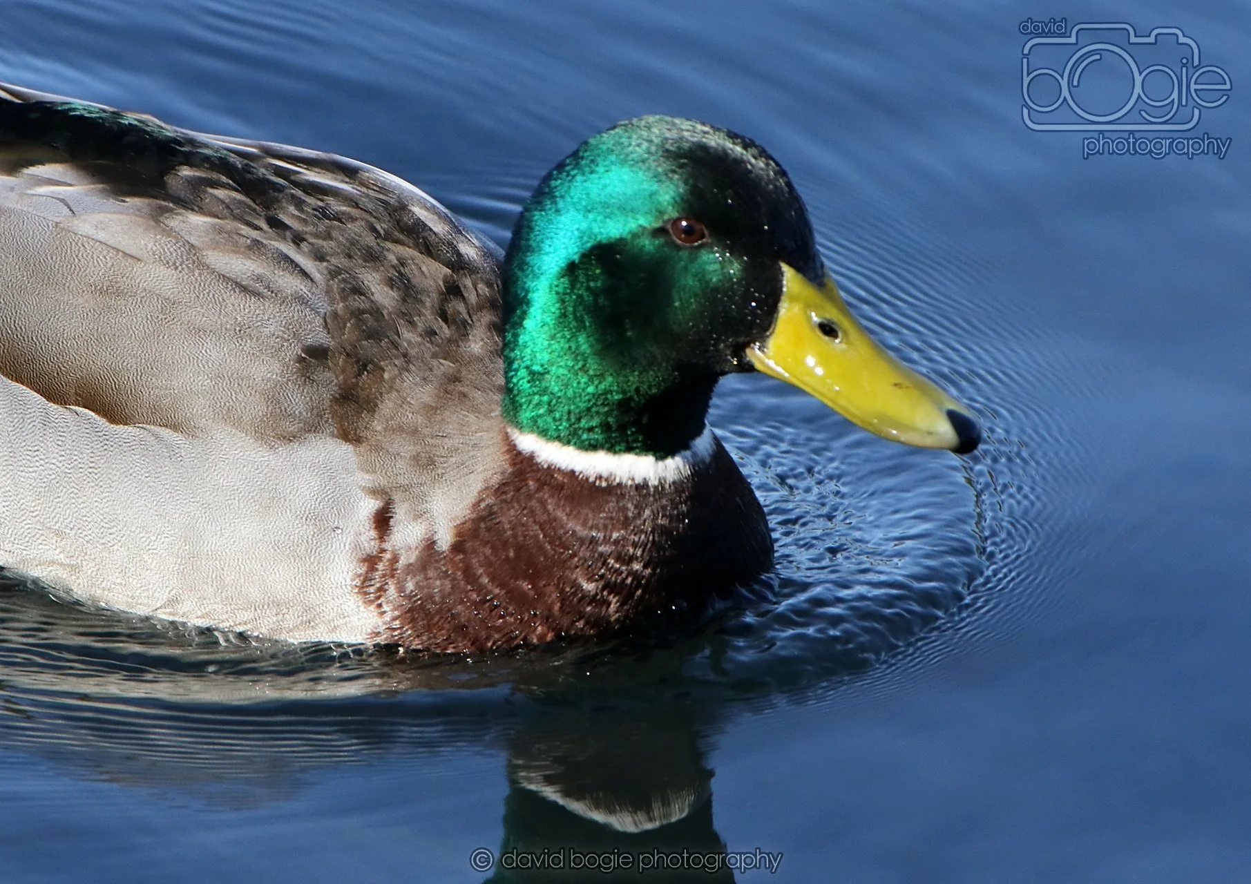 20260319 112941 Beveridge Park 0045.jpg