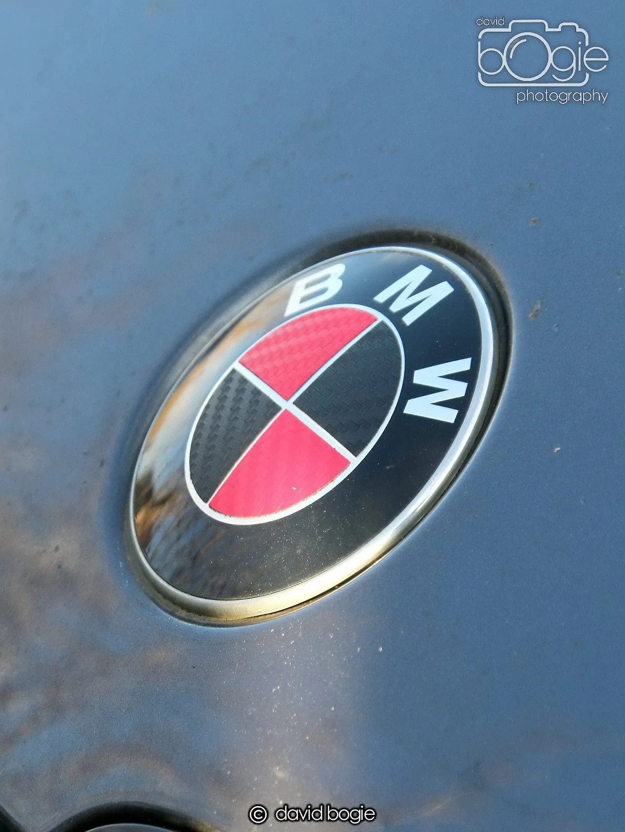 20250129 133608 Reekies 0207 1.JPG