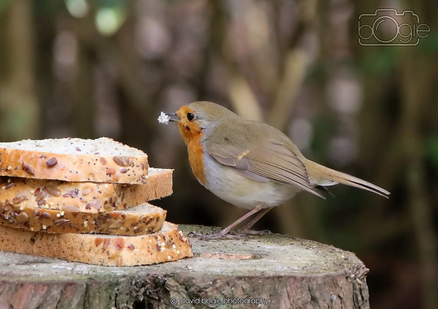 20260330 111248 Dunnikier 0034.jpg