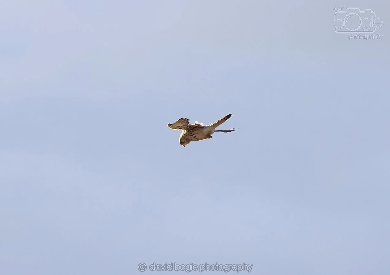 20260314 162044 Elie 0077.jpg