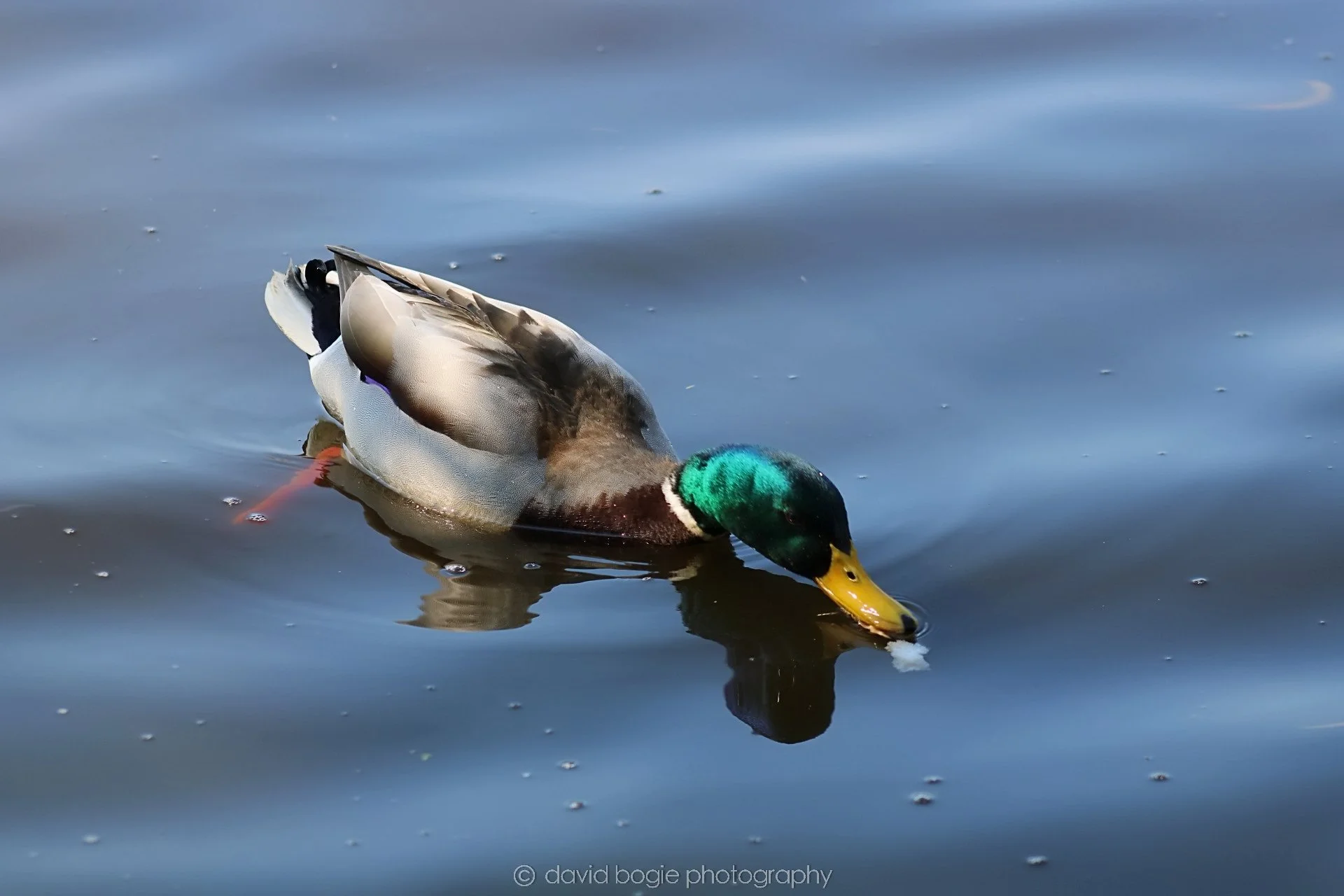 20190411 111312 Otterston 0010.jpg