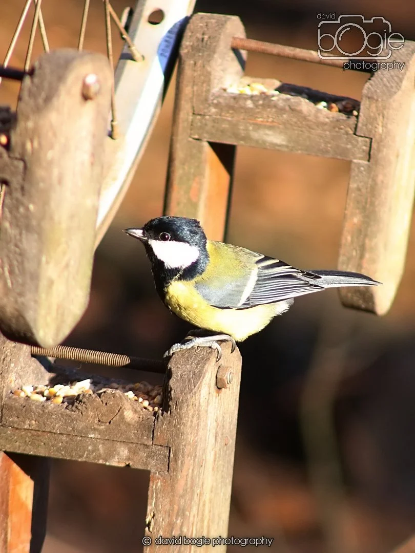 20251231 133656 Silverburn 0122.JPG