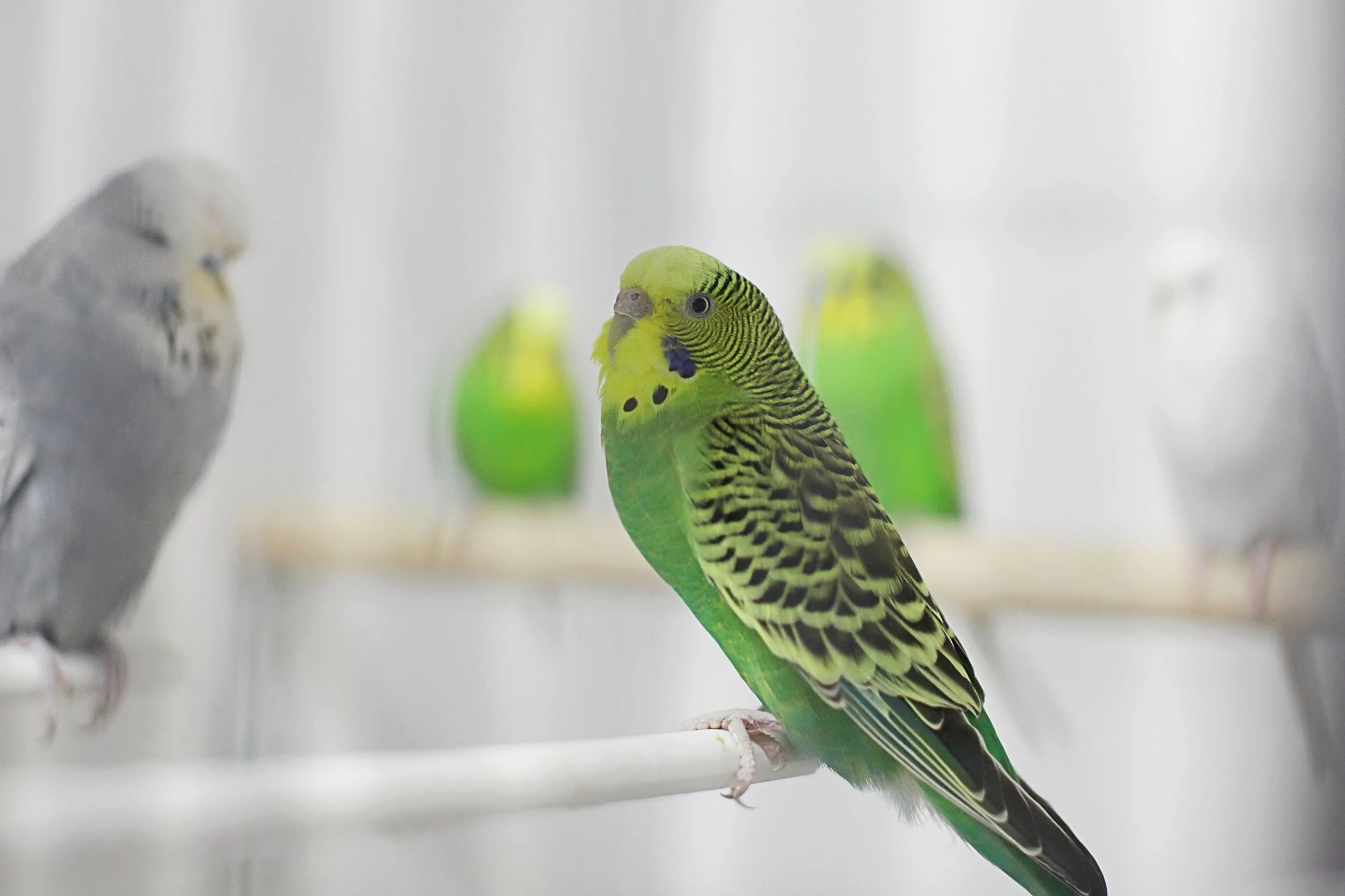 20251117 133408 IMG_0064.JPG