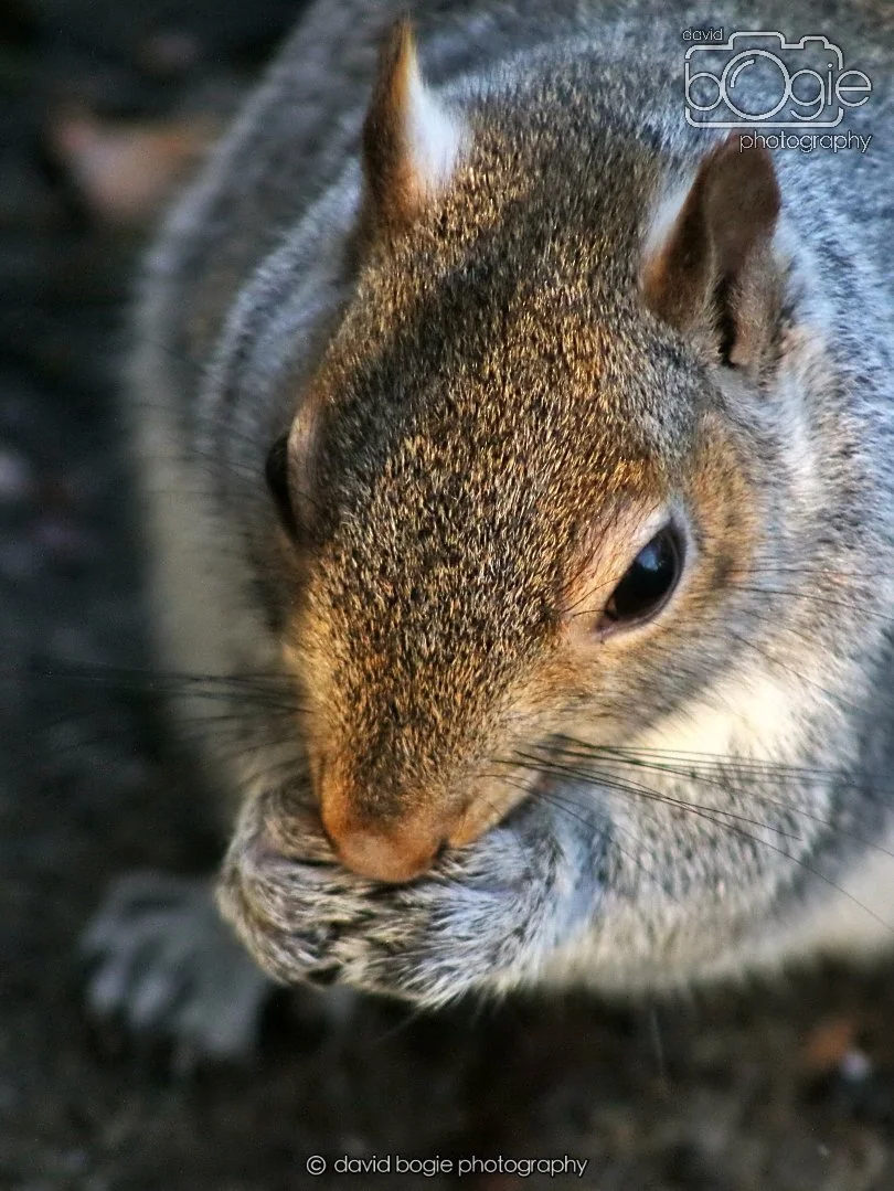 20251231 131250 Silverburn 0073.JPG