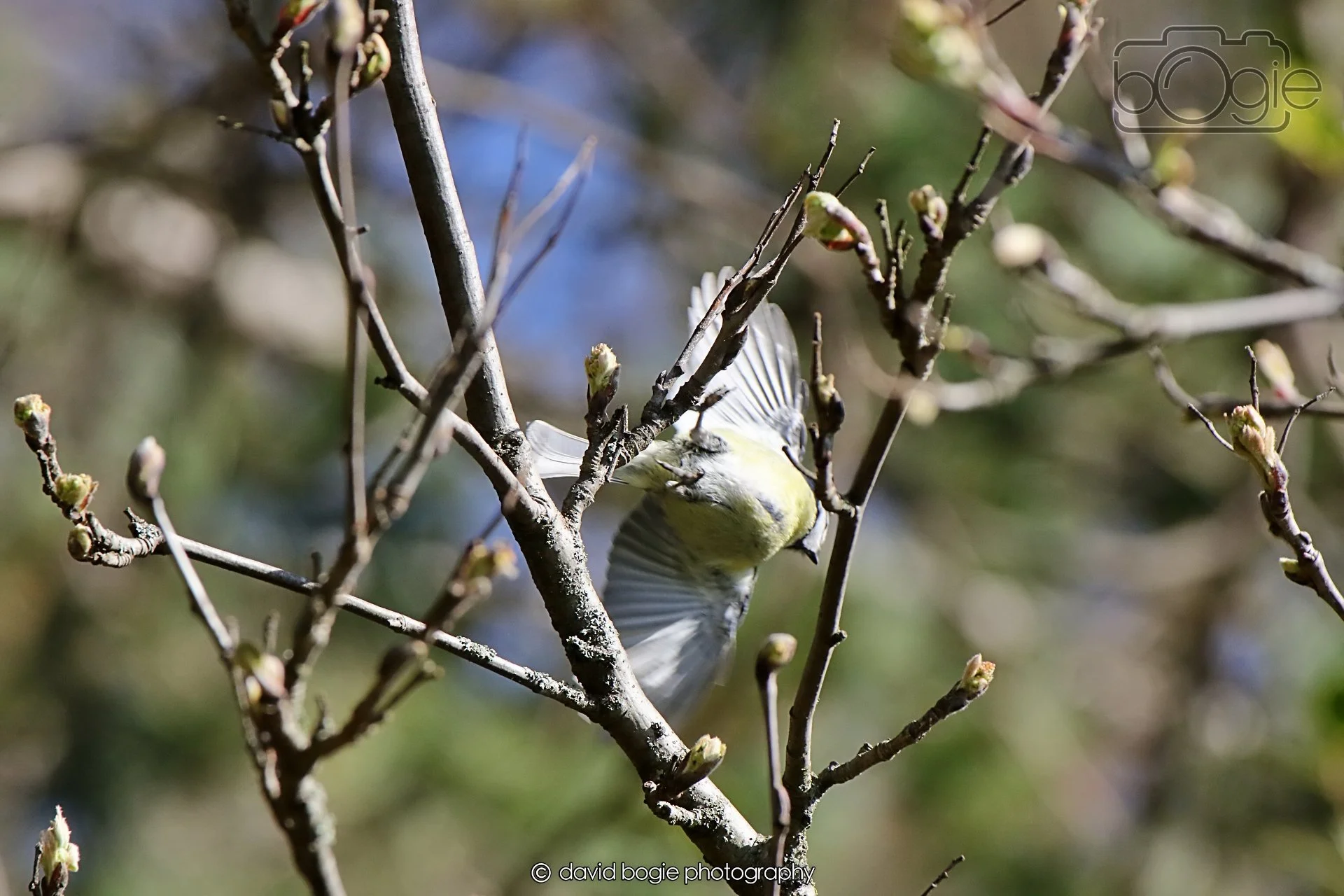 20260402 101141 Silverburn 0115.jpg