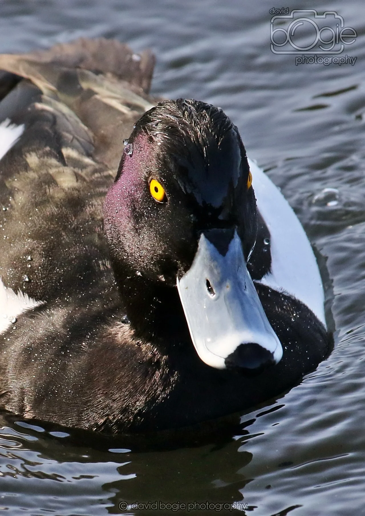 20260319 133609 Beveridge Park 0510.jpg