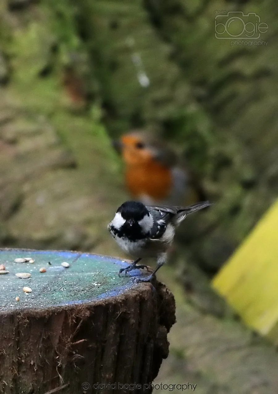 20260309 113443 Dunnikier 0204.jpg