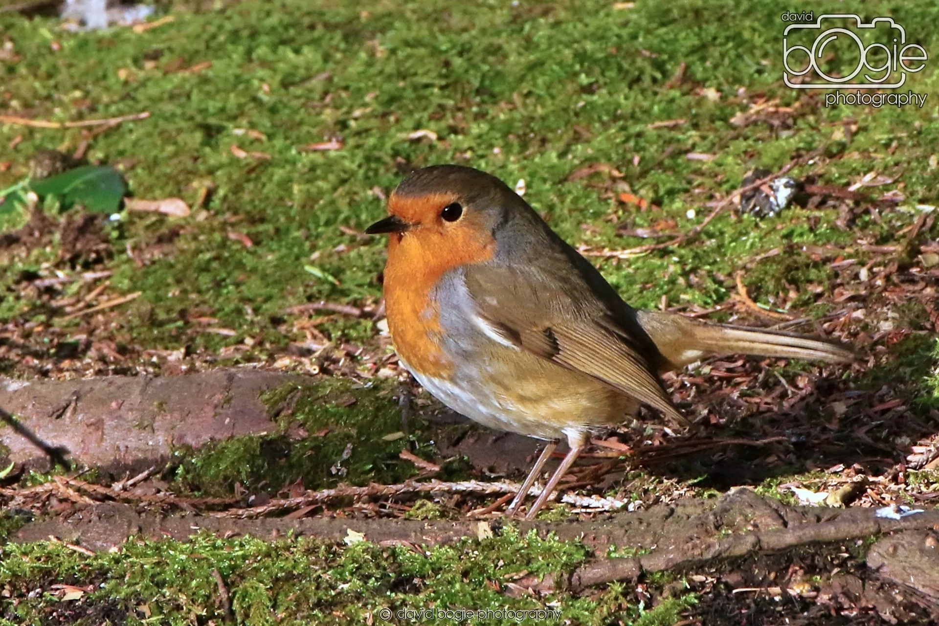 20260128 133744 Dunnikier 0221.JPG