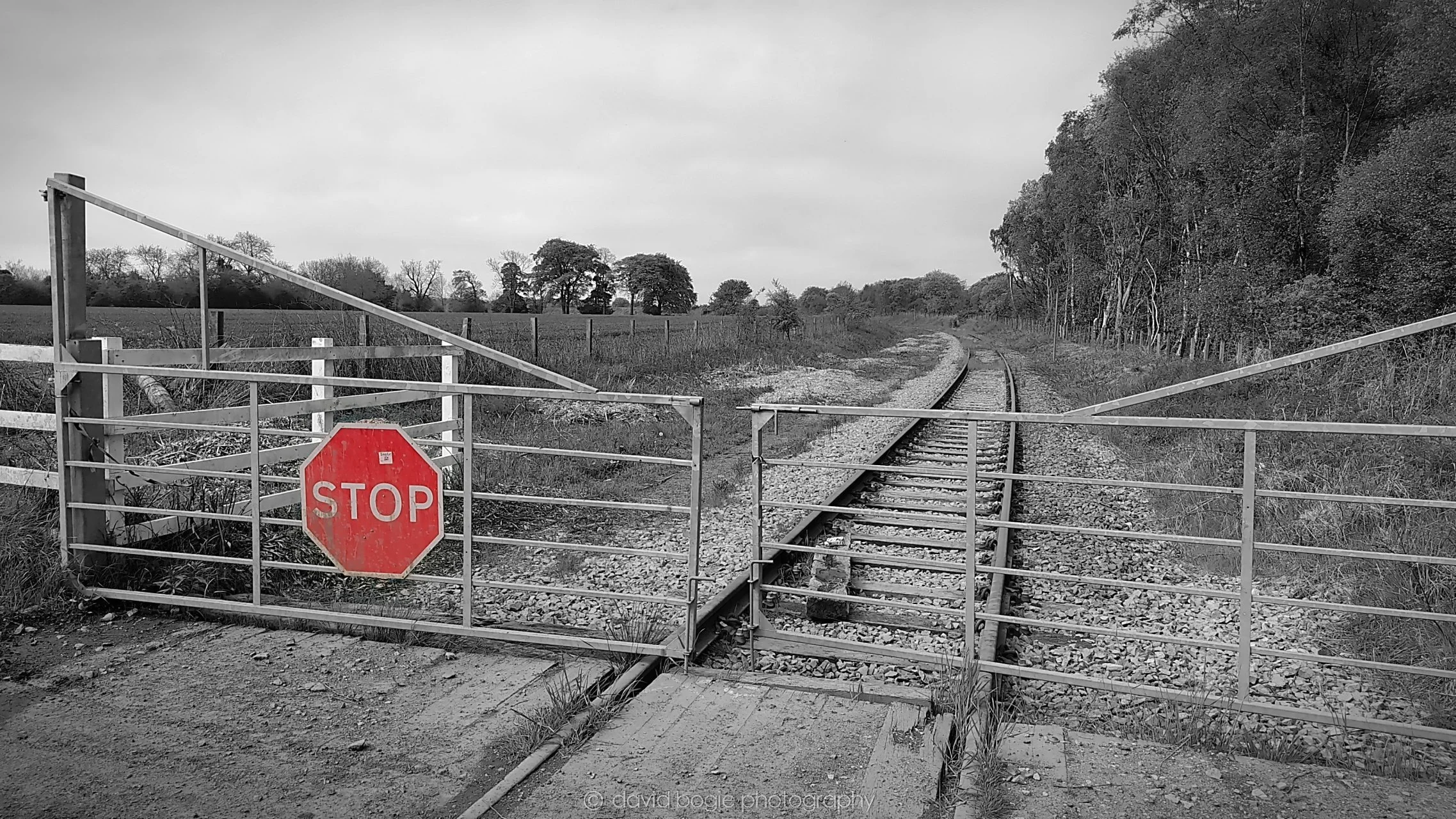 YEAR20220202 Earlseat 00001.jpg