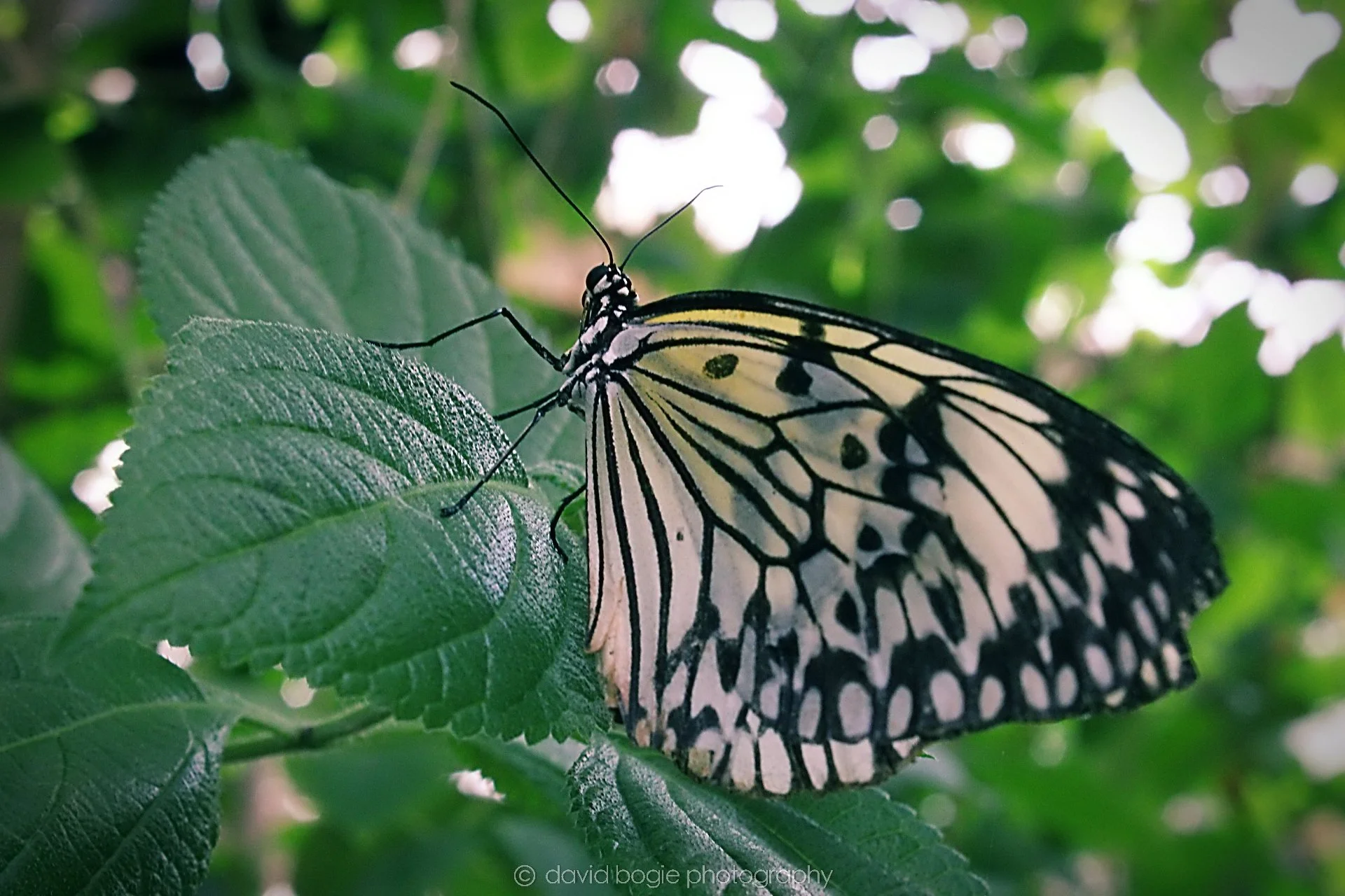 20191019 132146 Butterfly World 0045.jpg