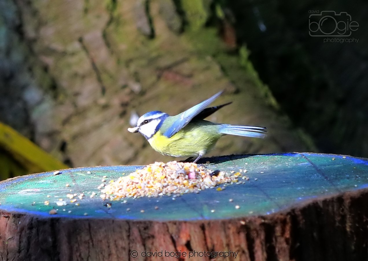 20260308 143809 Dunnikier 0045.jpg