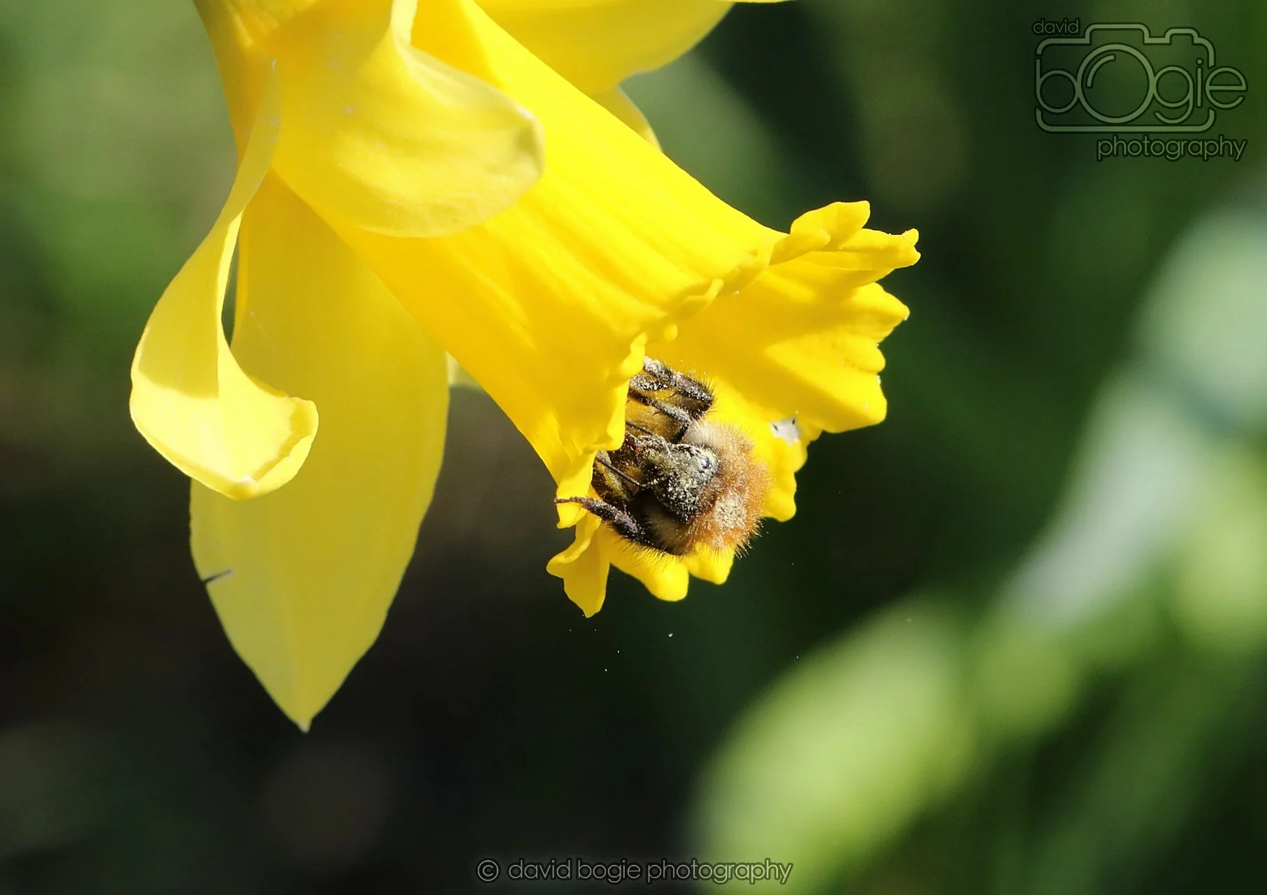 20260319 115349 Beveridge Park 0194.jpg