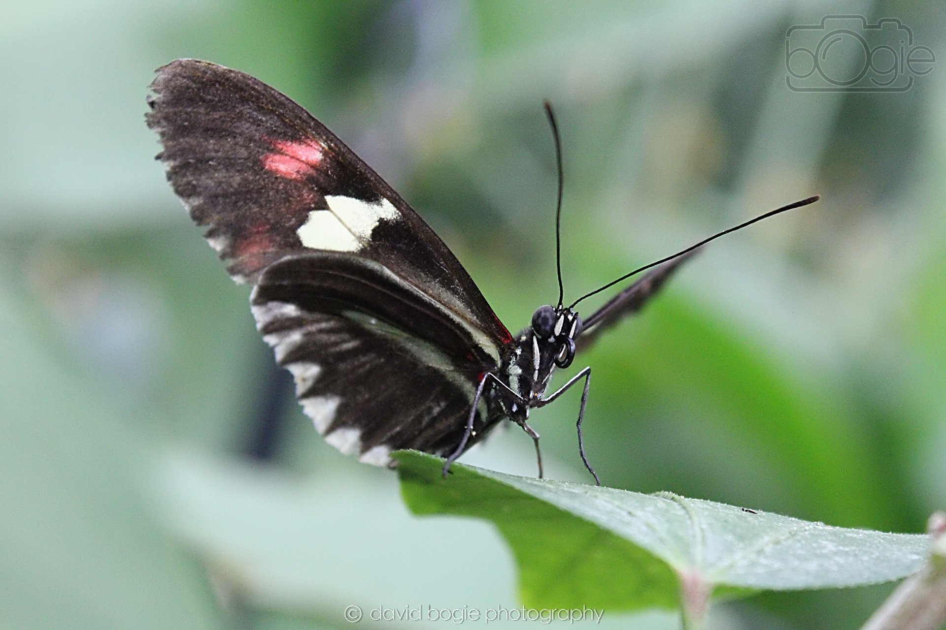20191019 123945 Butterfly World 0019.jpg