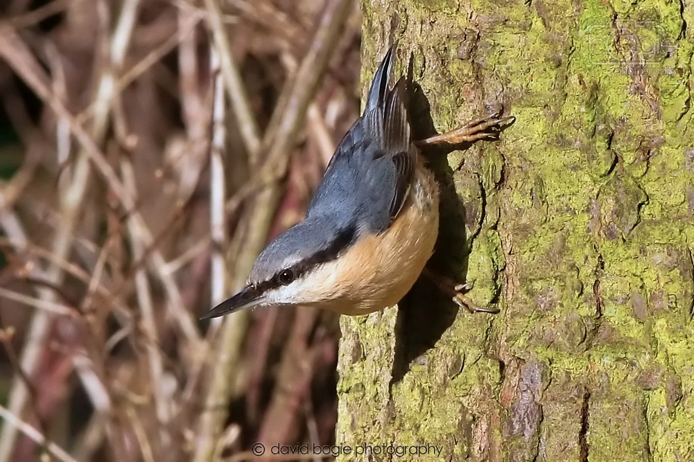 20260128 134208 Dunnikier 0262.jpg