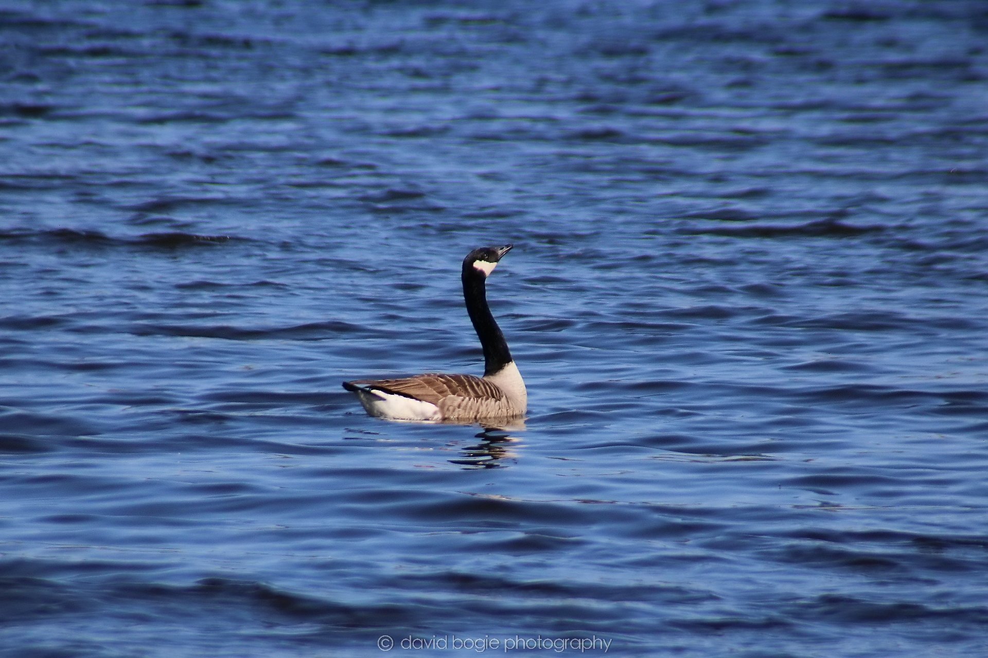 20210420 Lochore 18.jpg