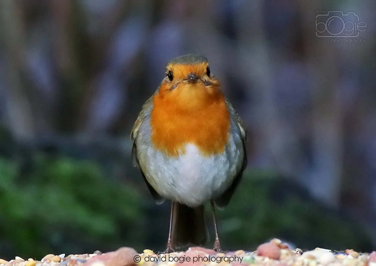 20260306 113812 Dunnikier 0194.jpg