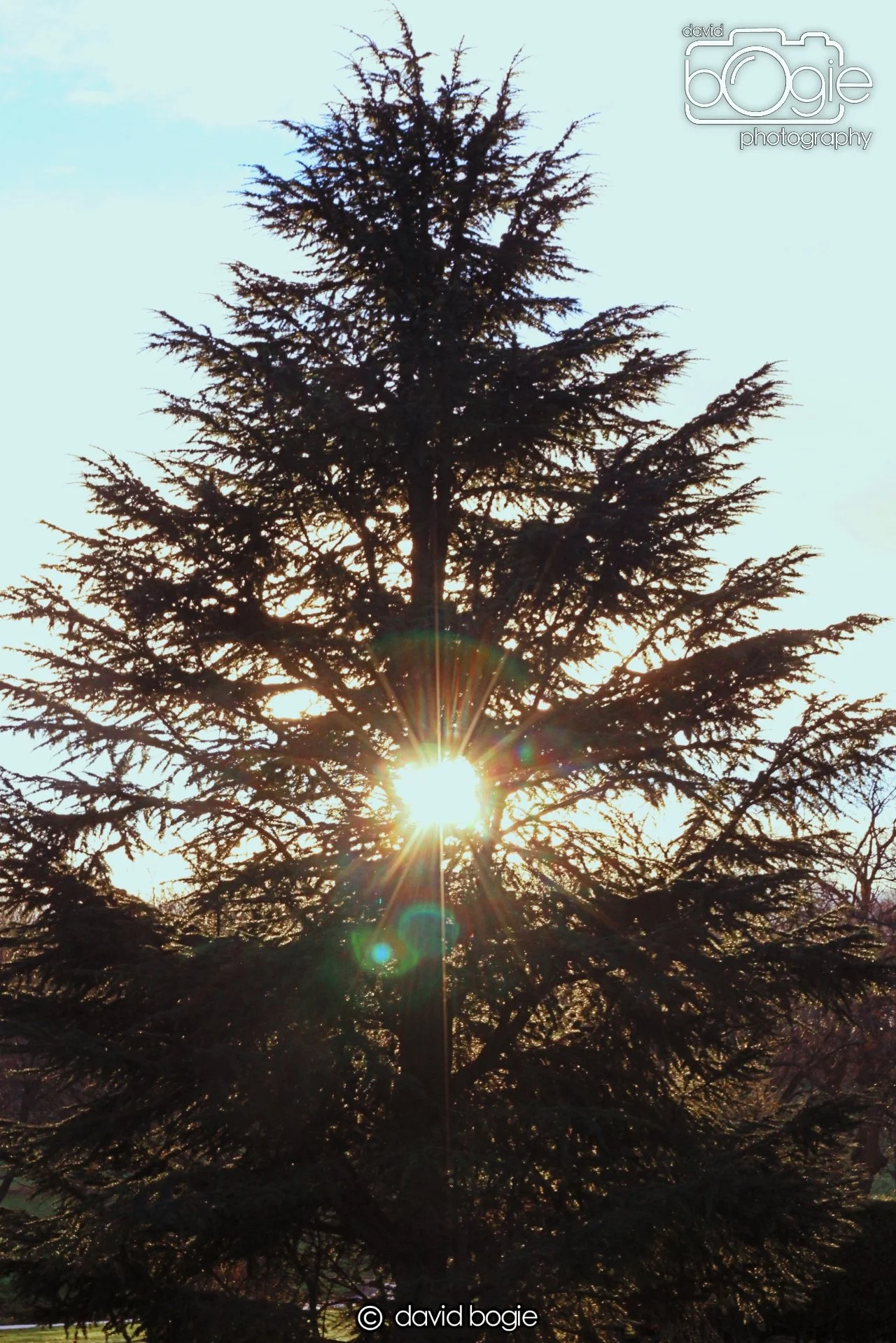 20221222 Beveridge Park 00011.JPG