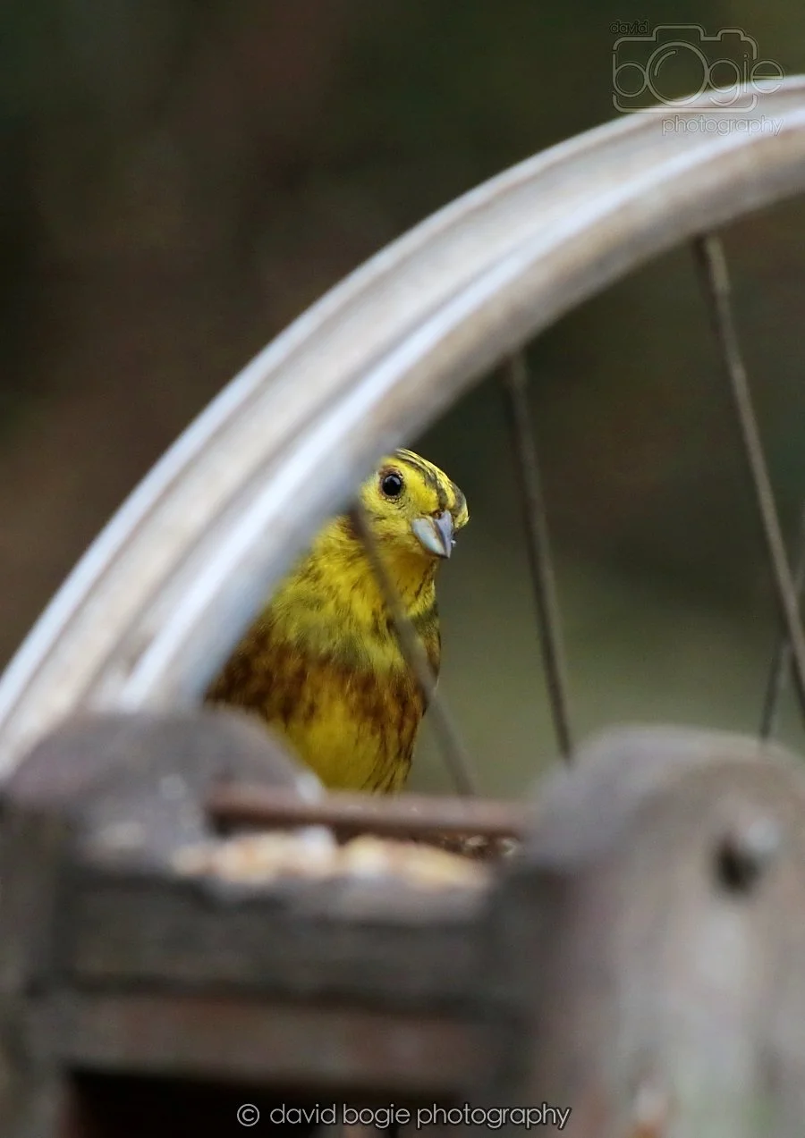 20260215 132520 Silverburn 0180.jpg