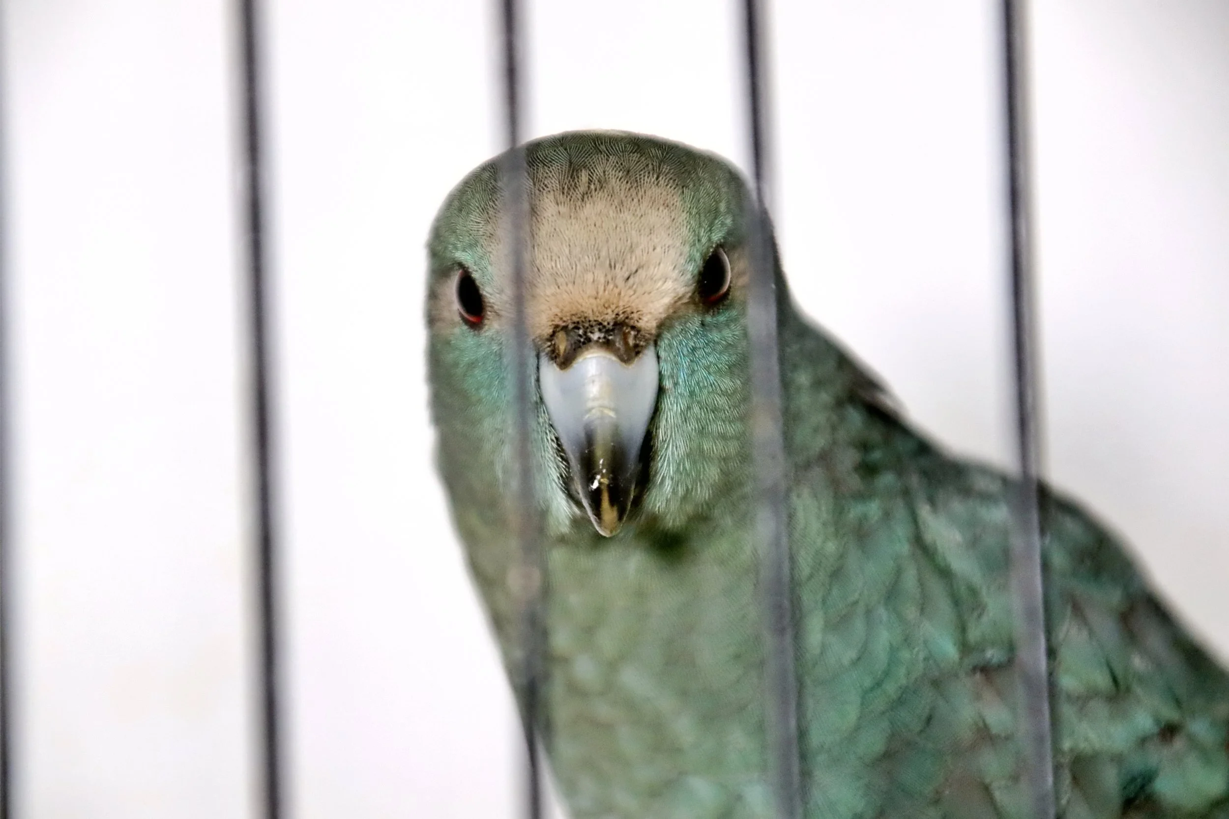 20251102 125306 Markinch CBS  0603.JPG