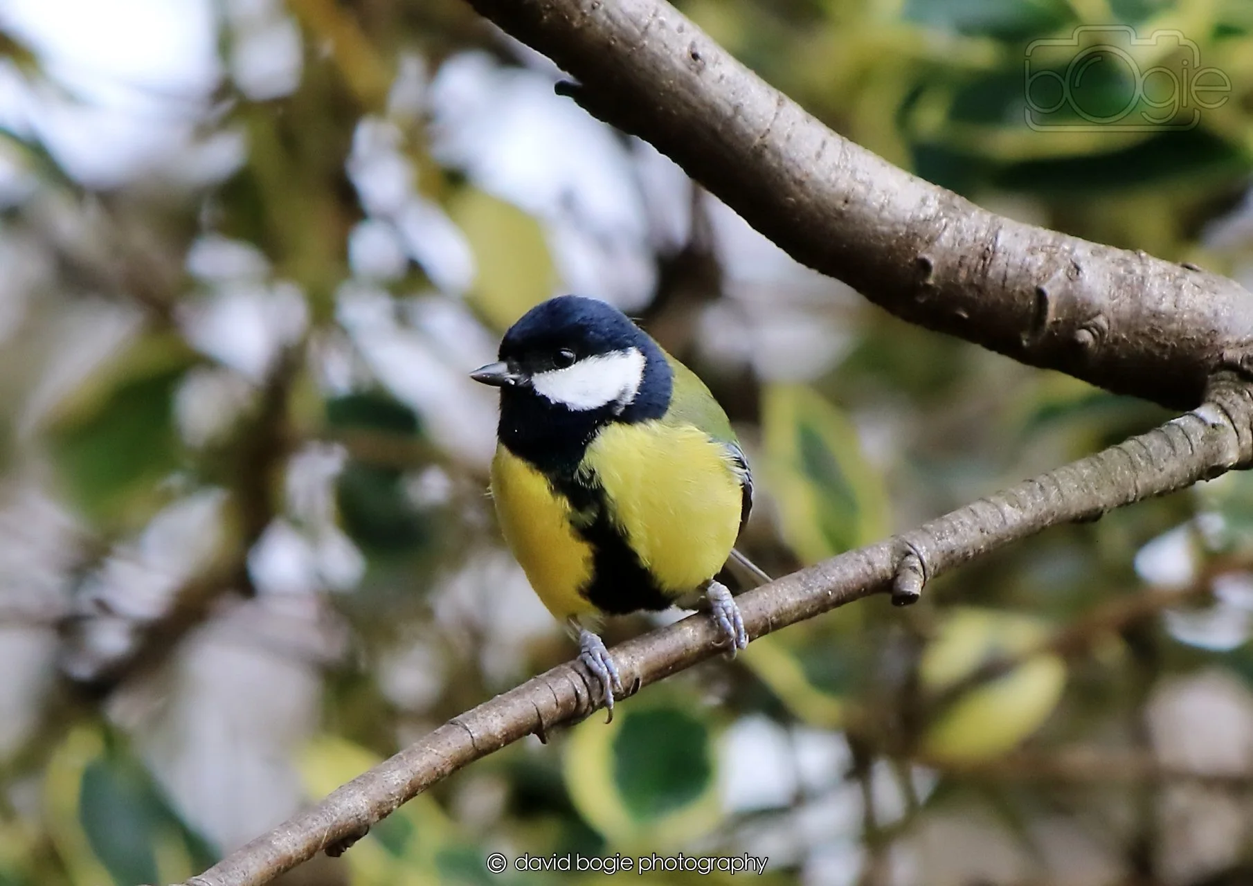 20260326 120205 Silverburn 0317.jpg