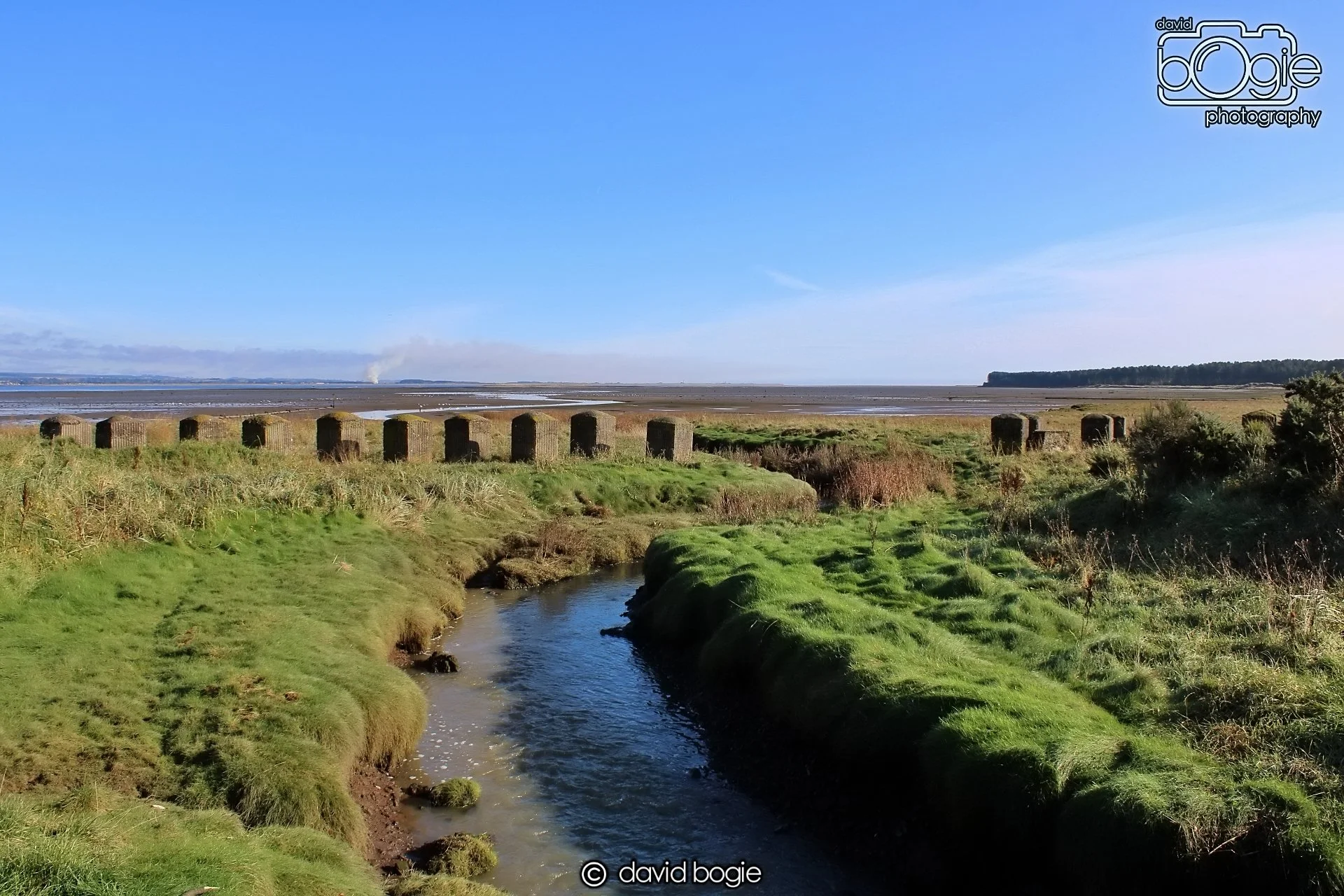 20191014 113413 Tentsmuir 0028.JPG