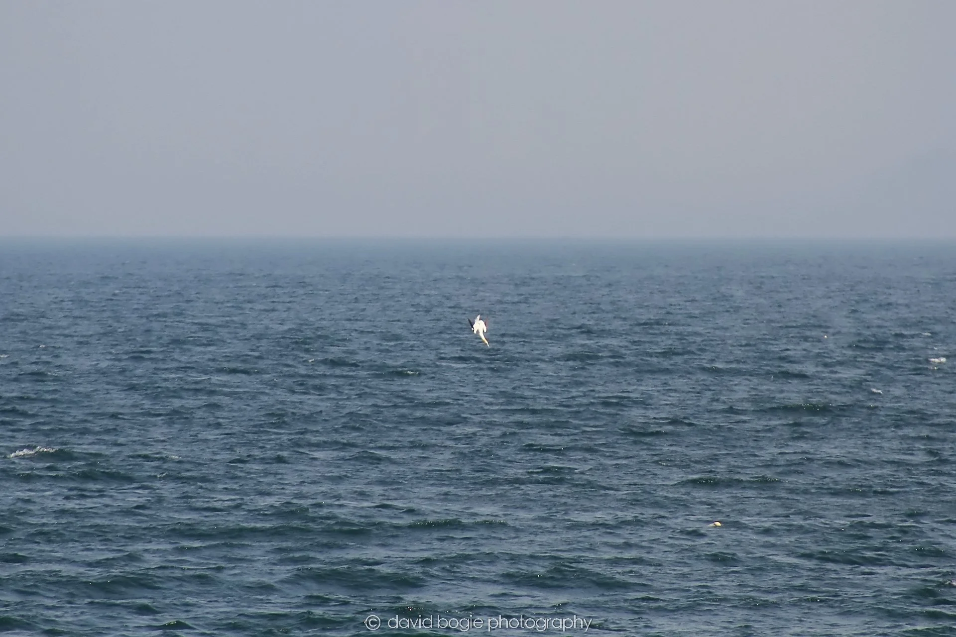 YEAR20240511 154212 Kirkcaldy 0044.jpg